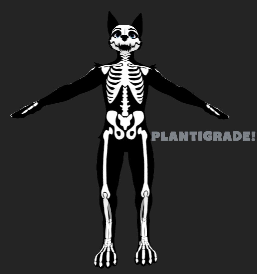 Spooky Skelly! Skeleton Mask/Map for the Masc Canine Winterpaw!