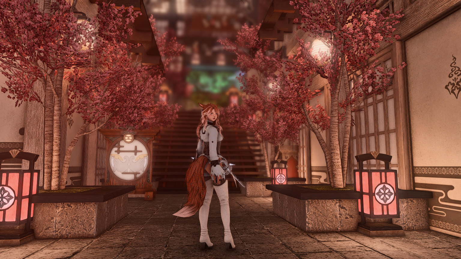Banner Background