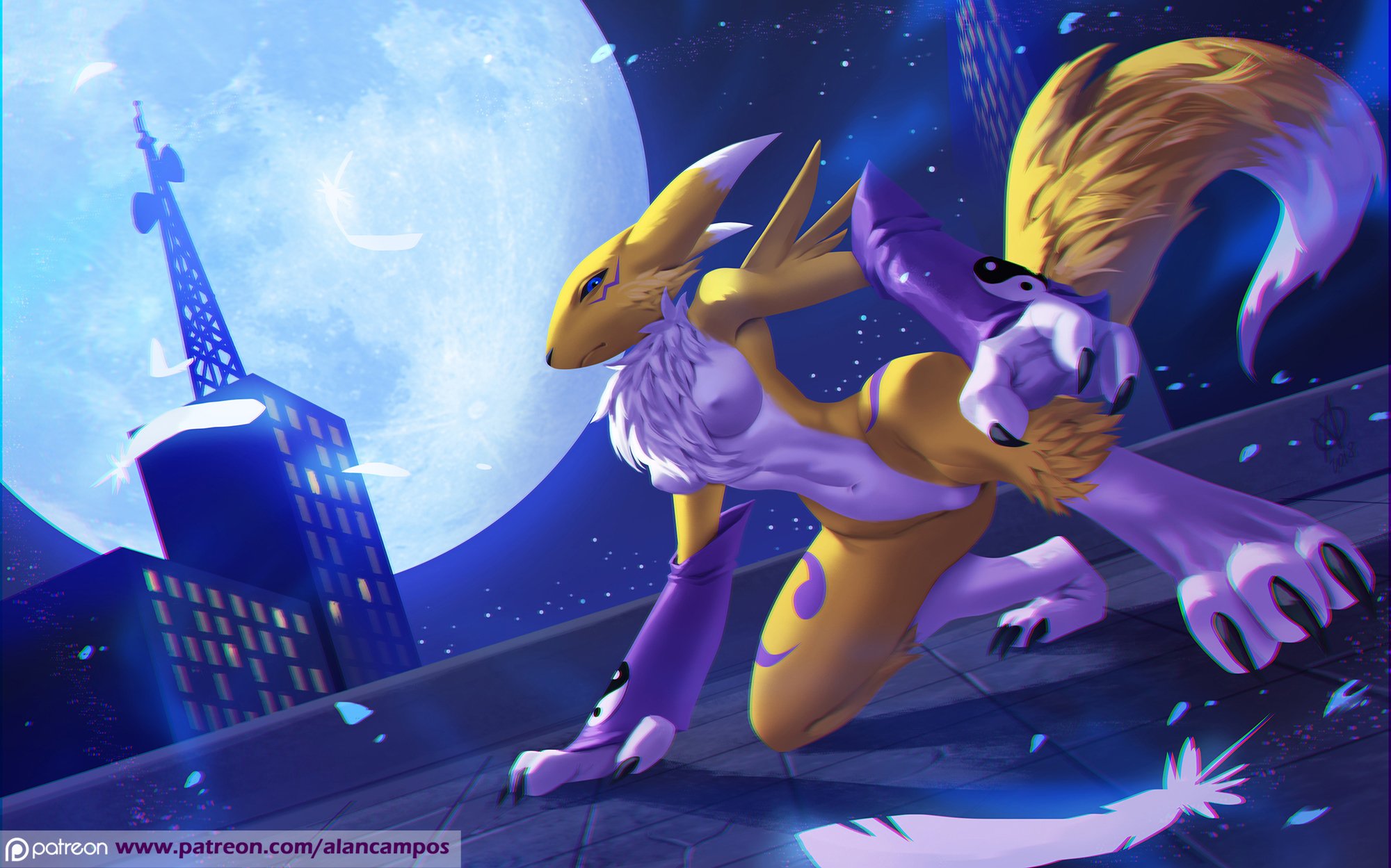 Banner Background