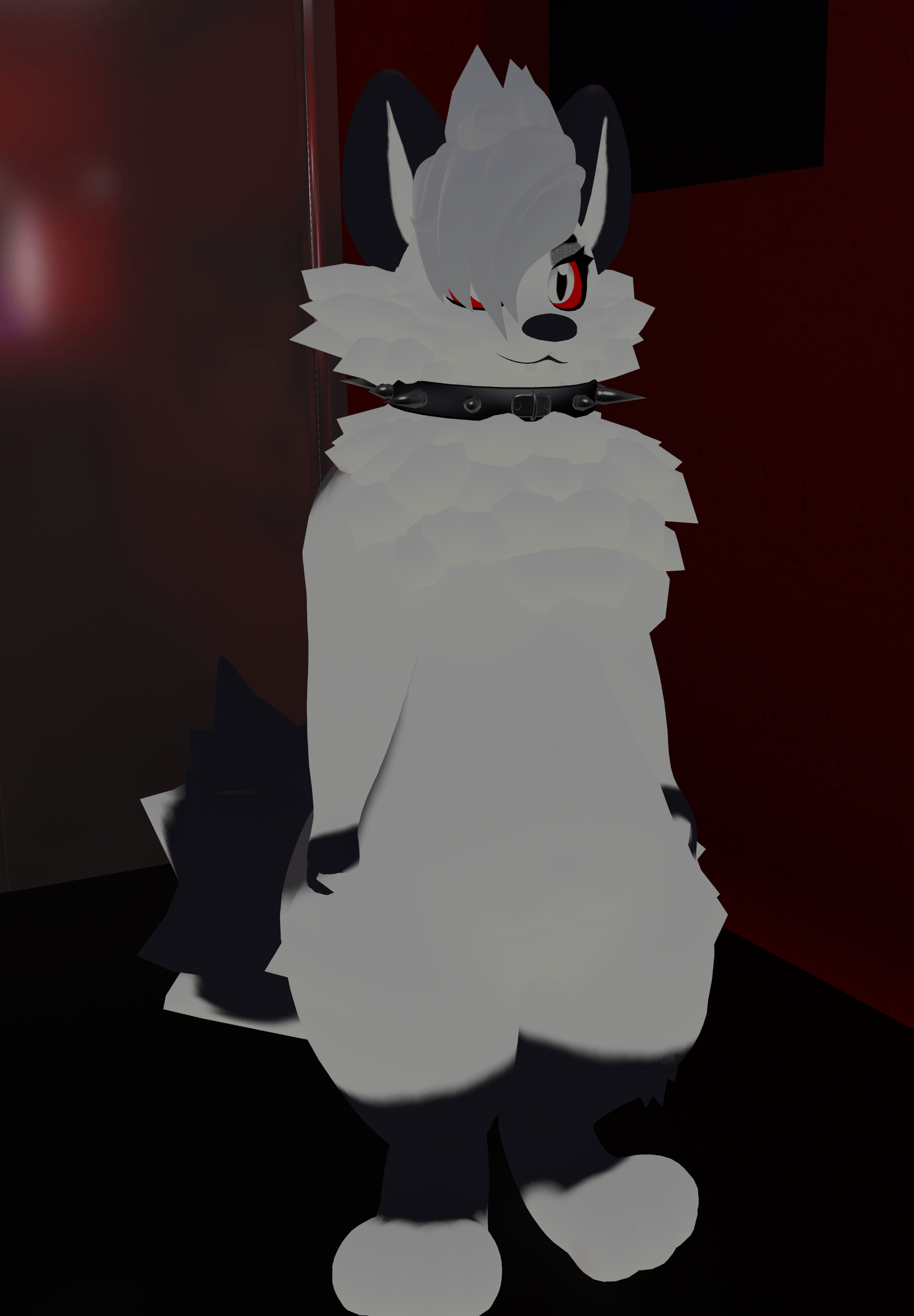 Loona Fluffy Dog Texture