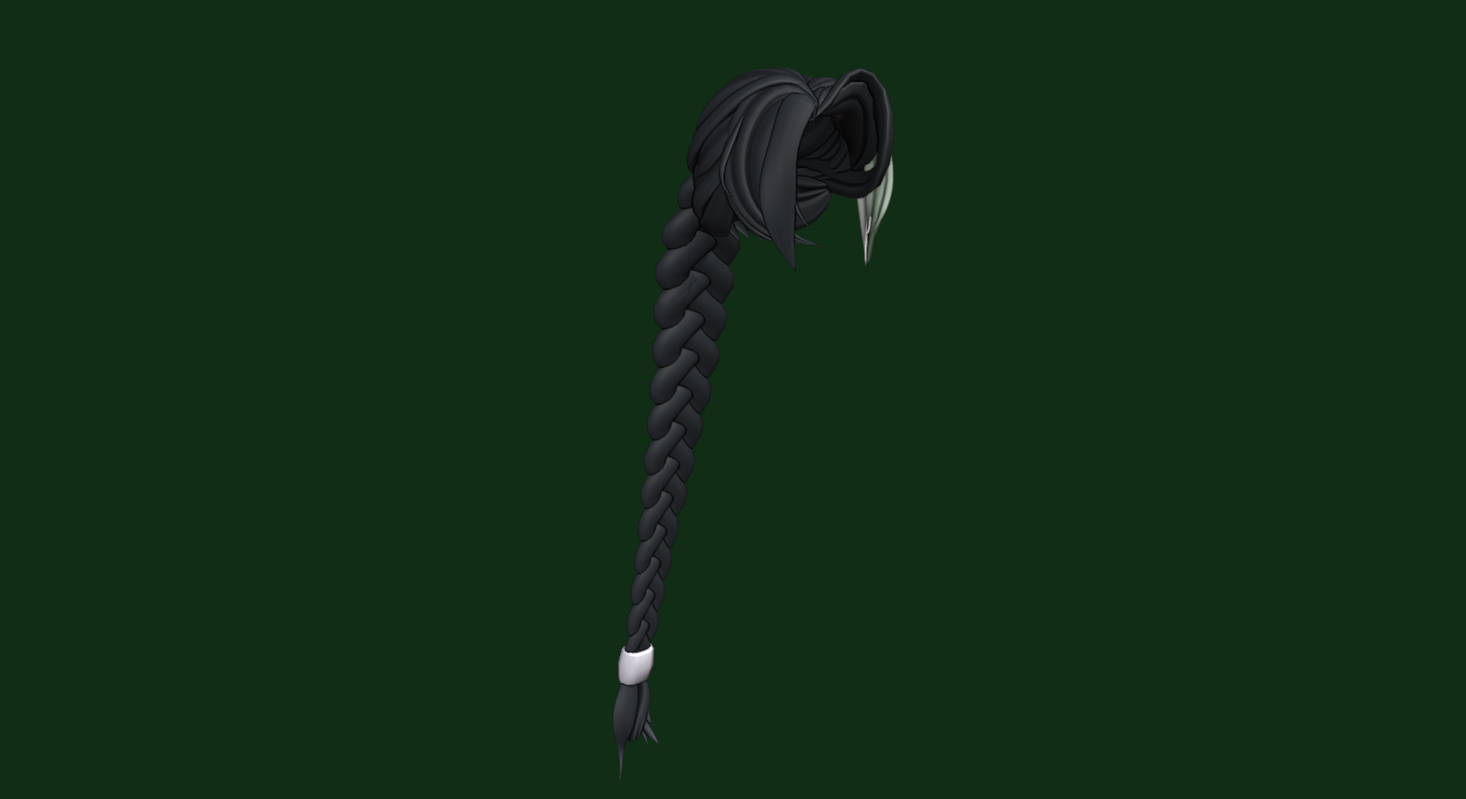 Anzyz's Long Braided Hair