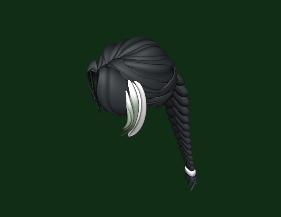 Anzyz's Long Braided Hair