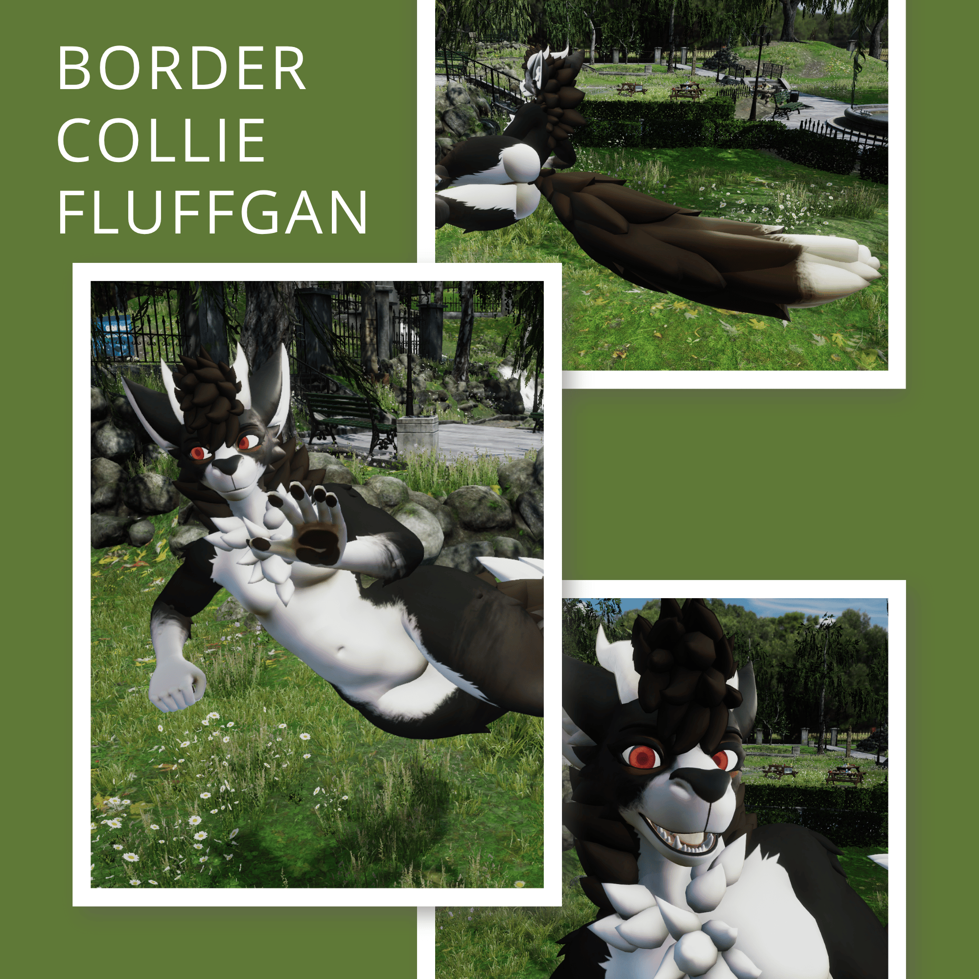 Border Collie Fluffgan - PNG Textures