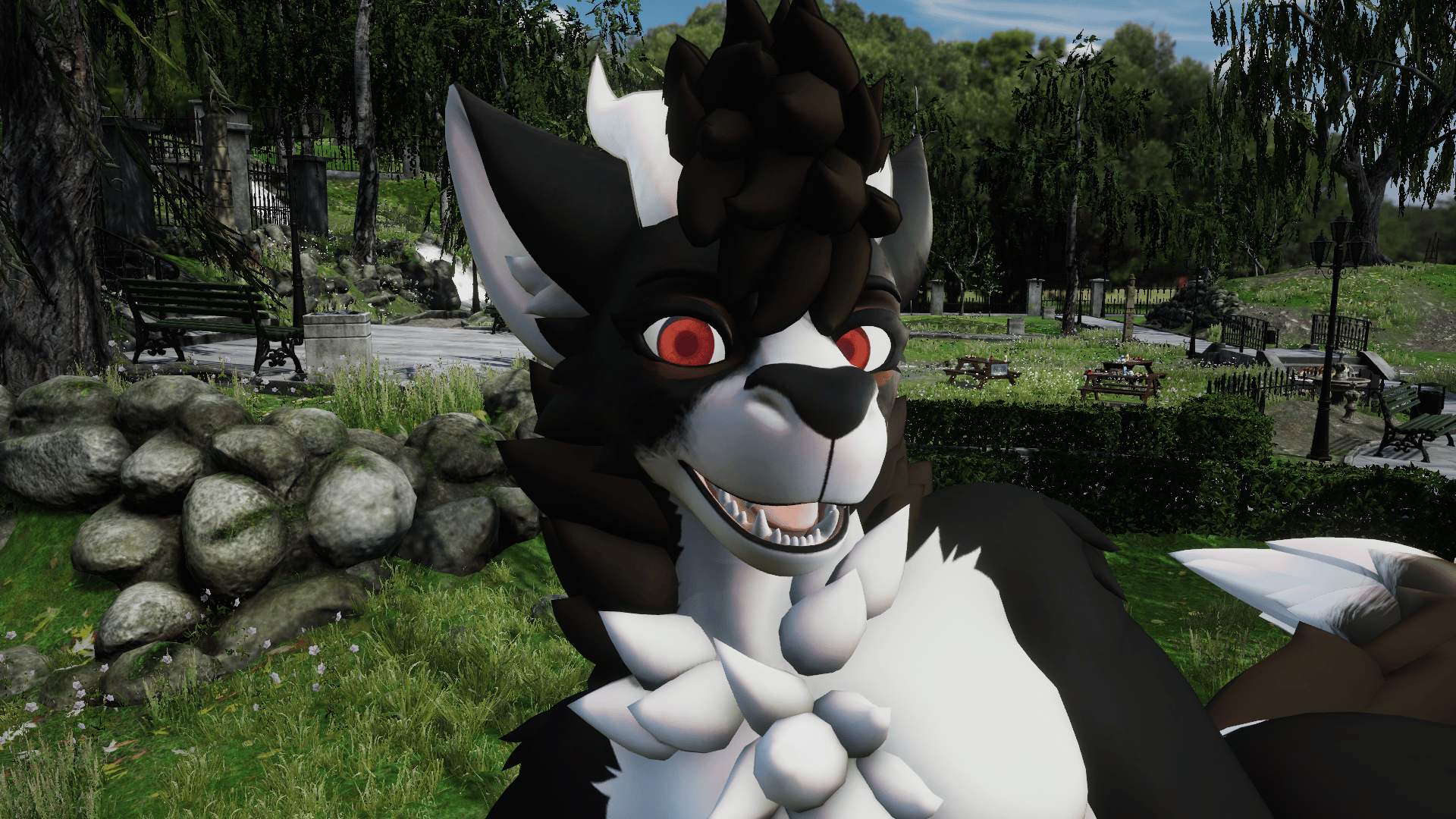 Border Collie Fluffgan - PNG Textures