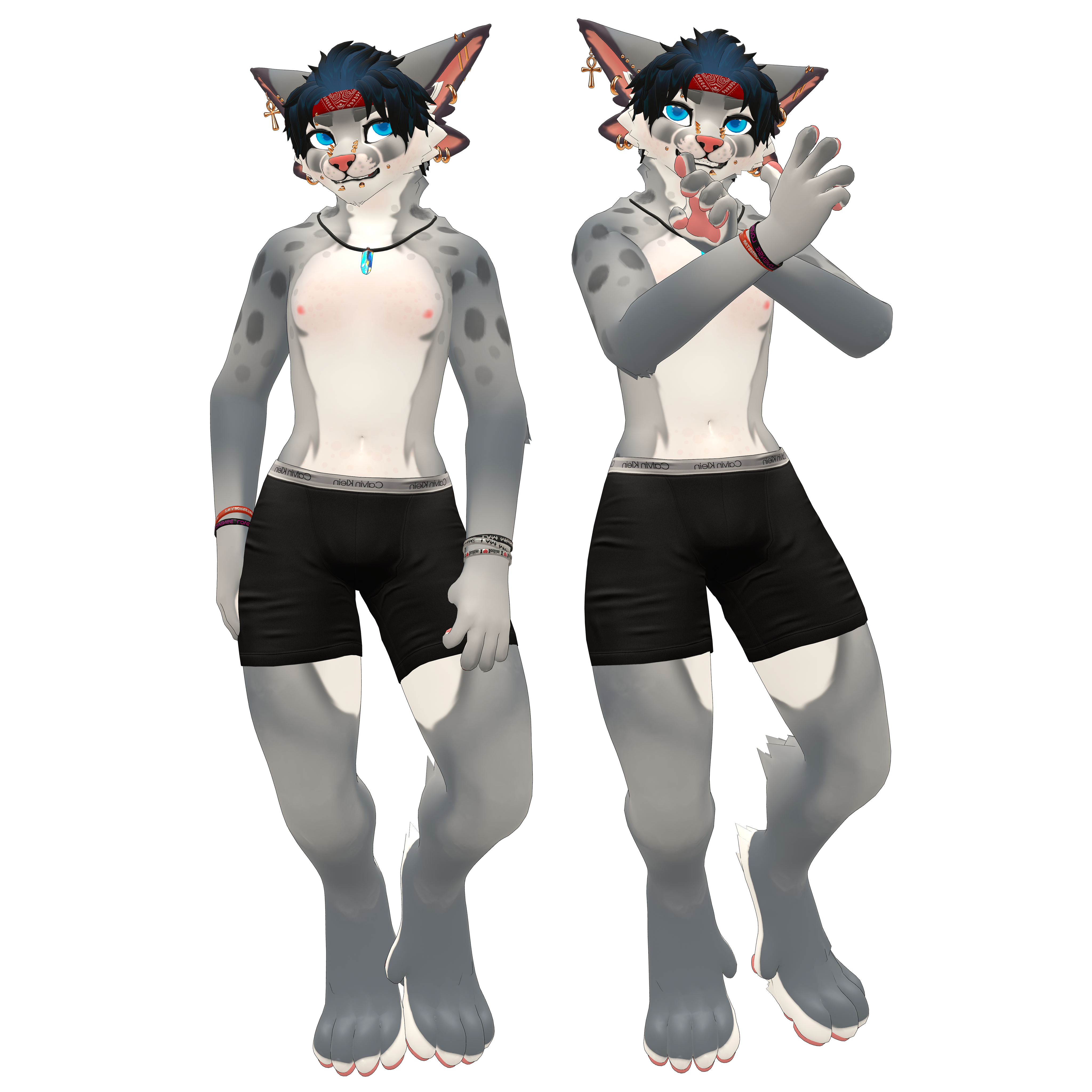 ZIVAN (FT/PC/MEDIUM)