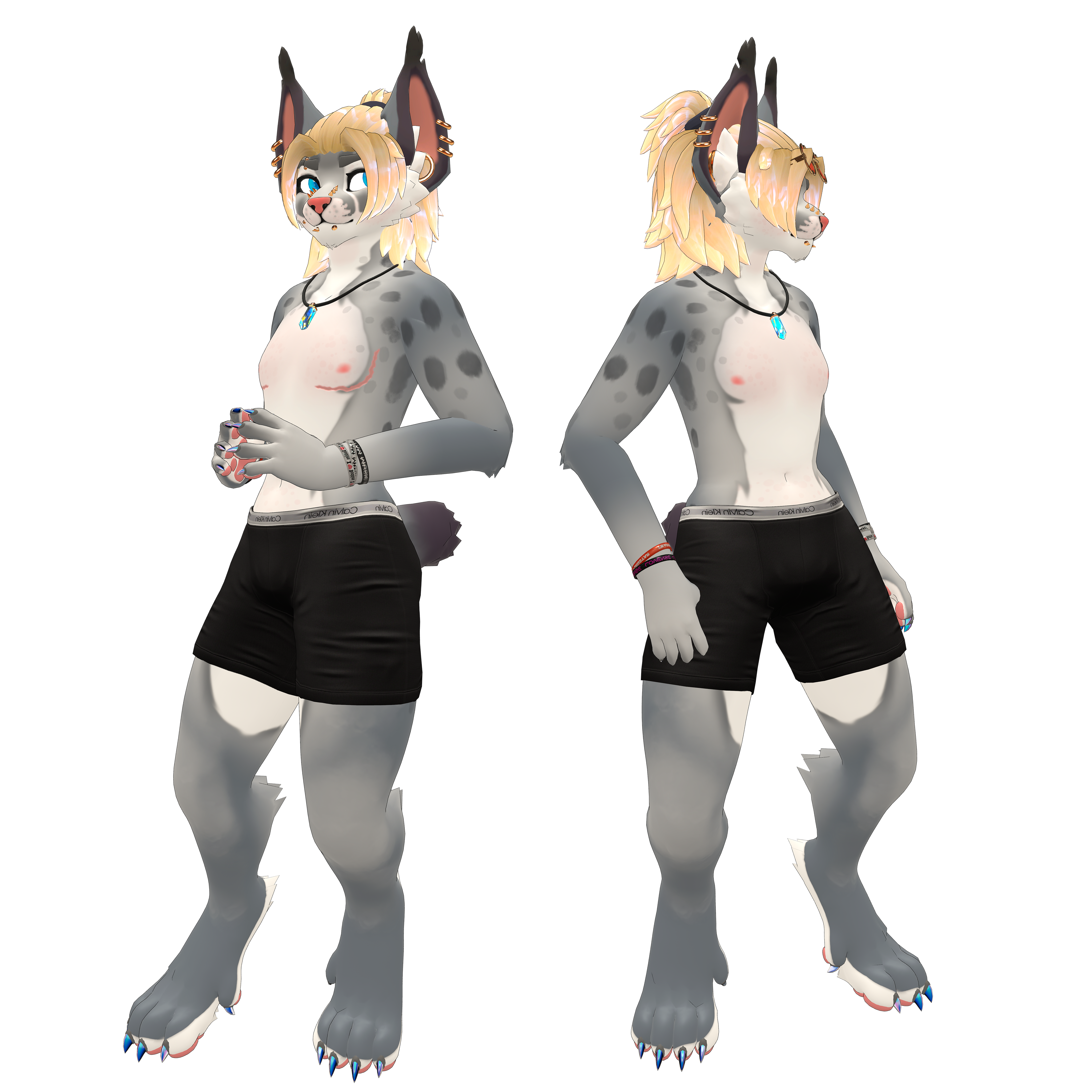ZIVAN (FT/PC/MEDIUM)