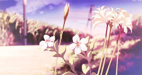 Banner Background