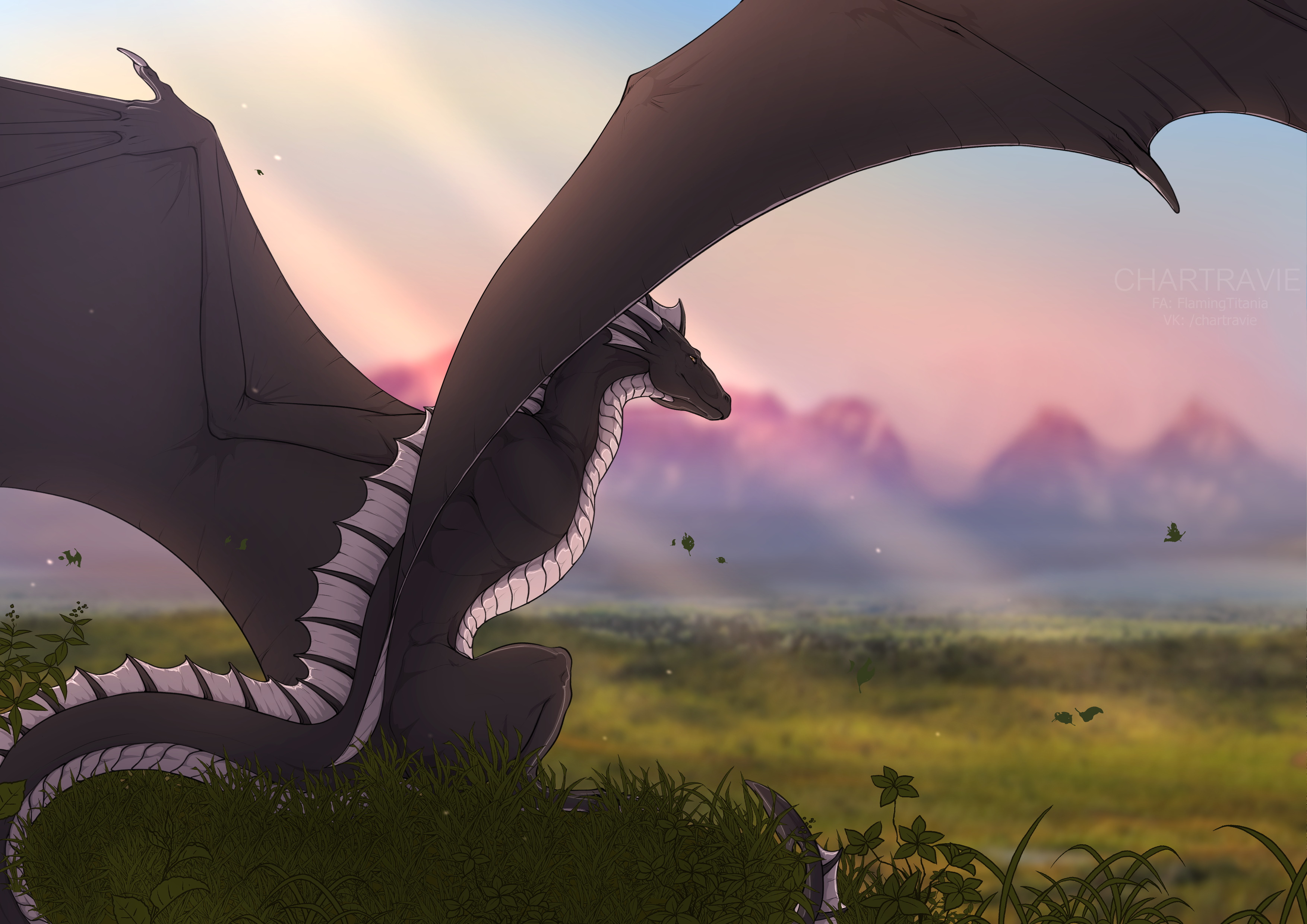 Banner Background