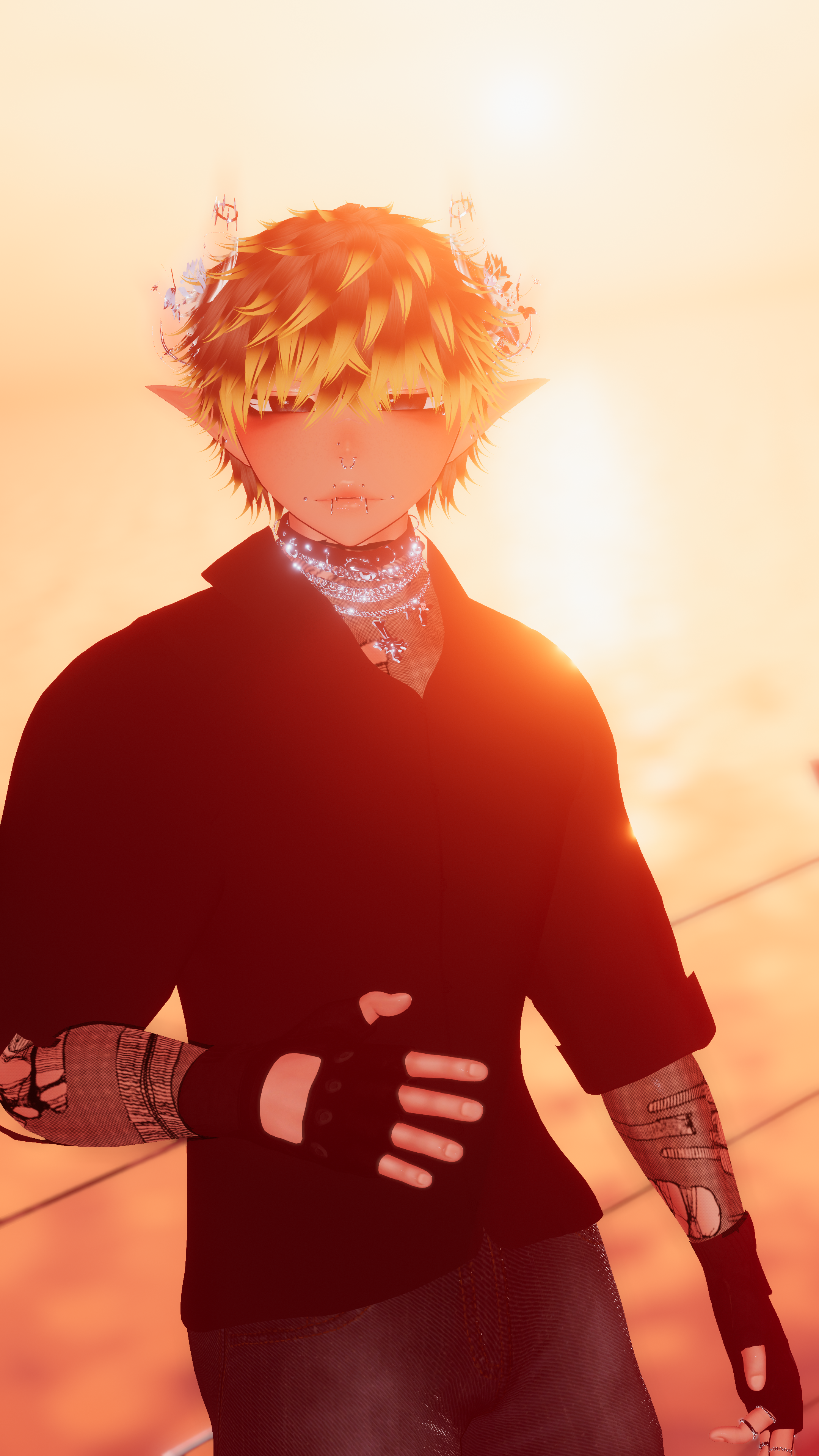 ⌞ Novion⌝ PC n VRCFT