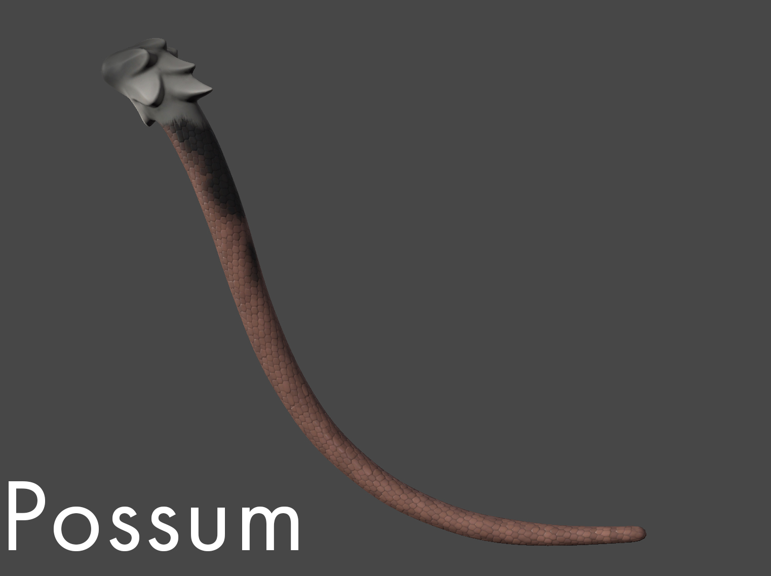 Modular Tails