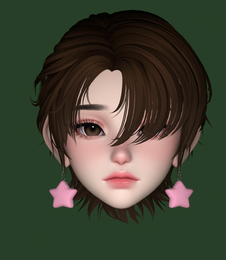 Star Earrings