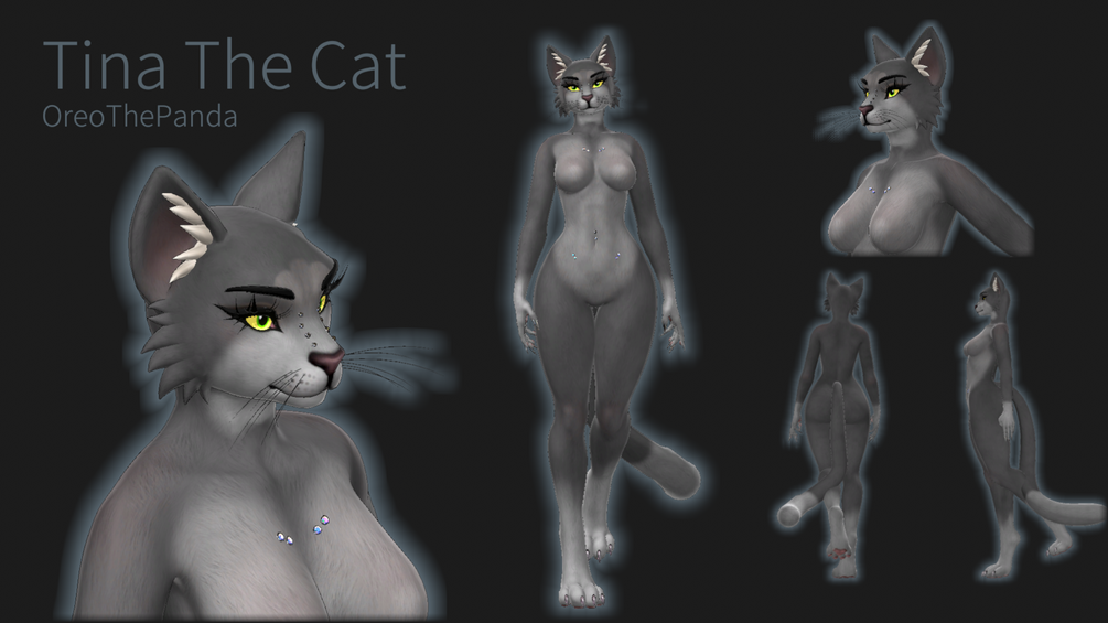 Tina The Cat - Cleo by Foxipaws Texture
