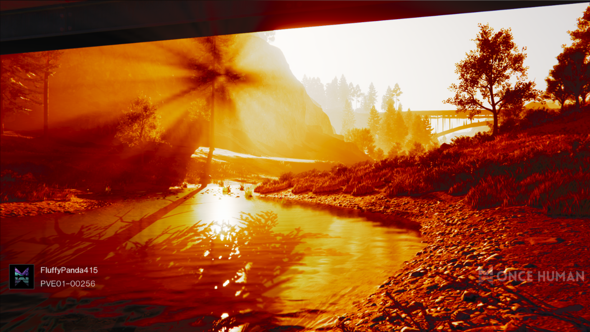 Banner Background