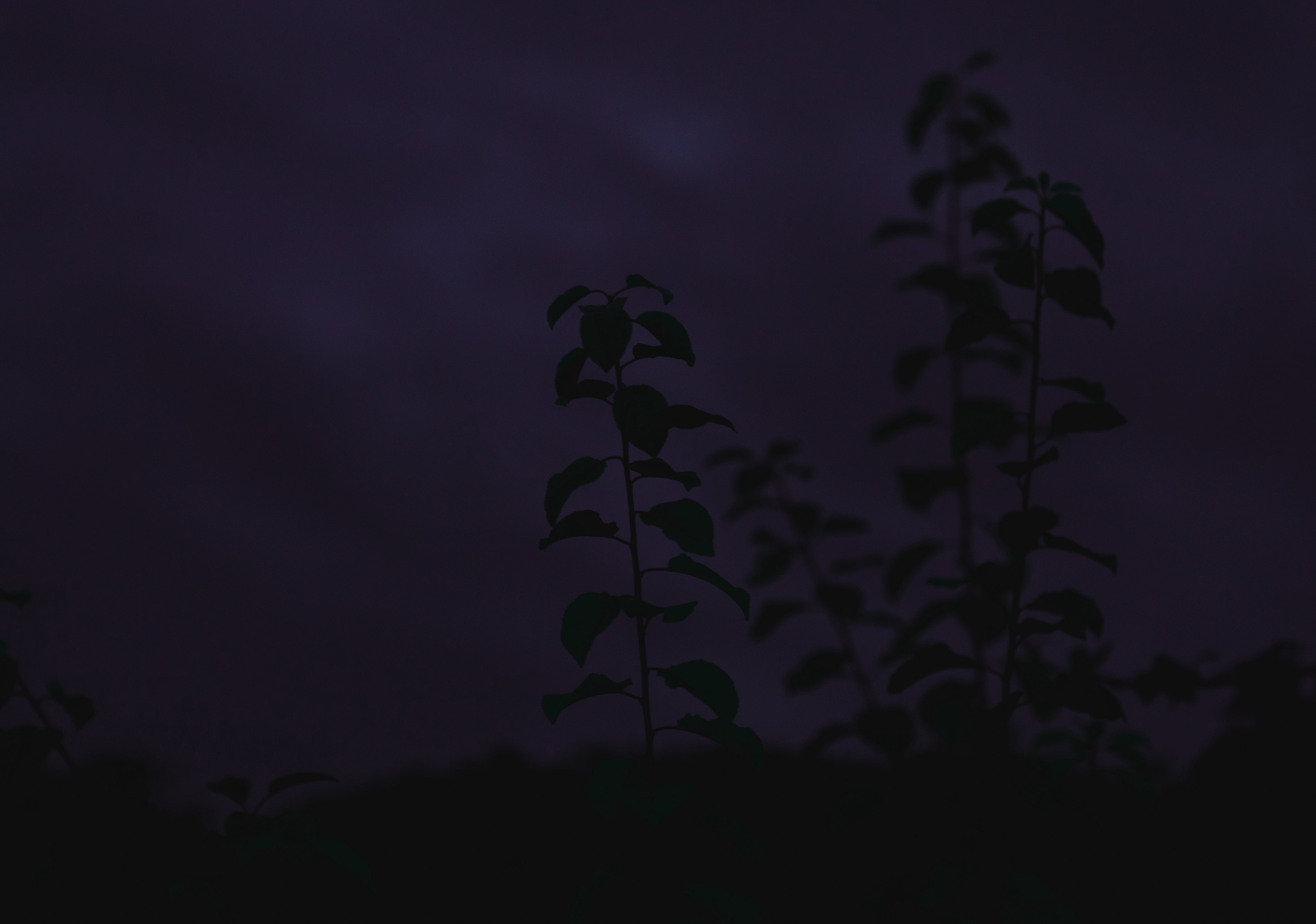 Banner Background