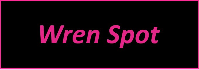 Banner Background