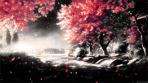Banner Background