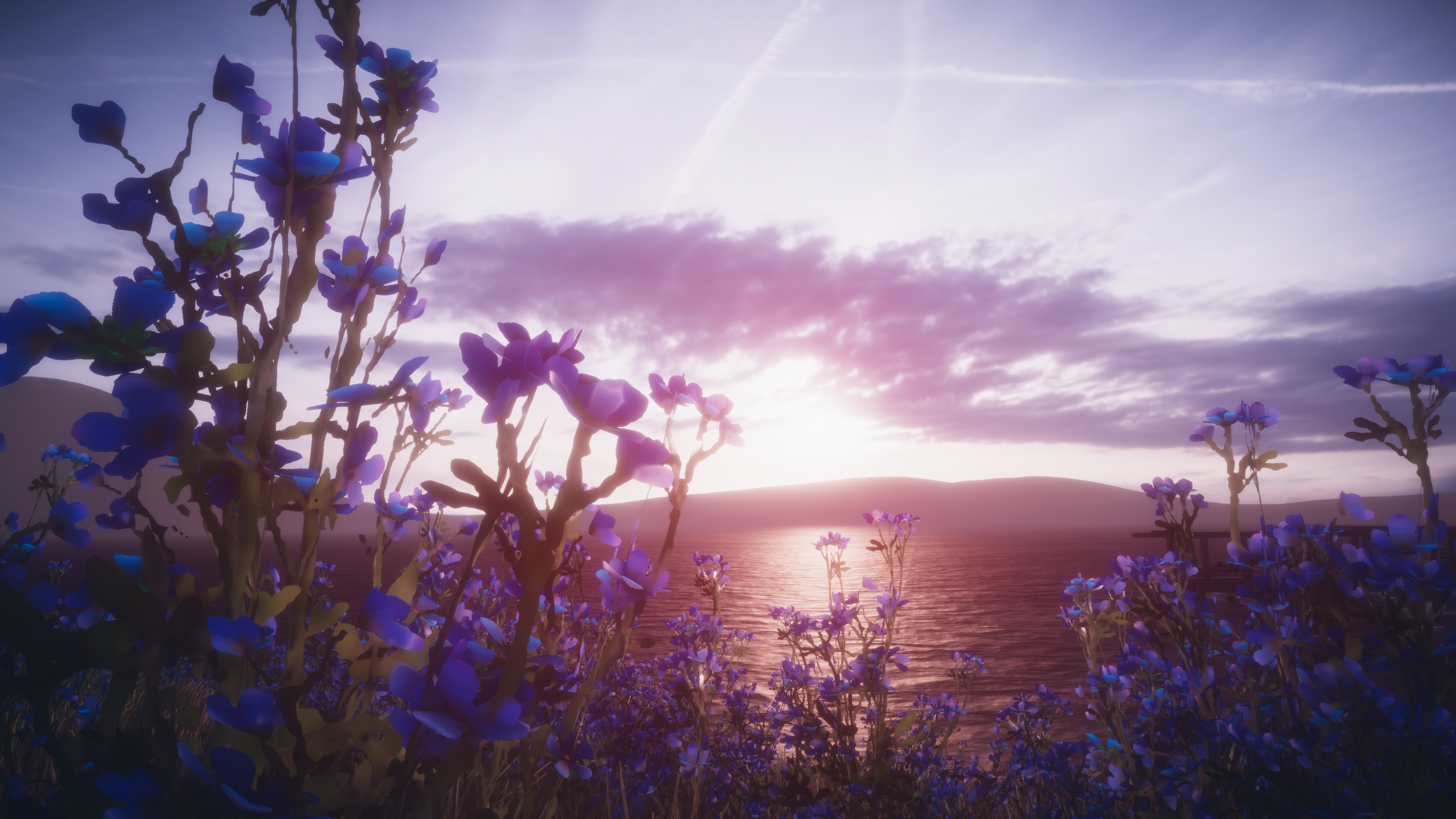 Banner Background