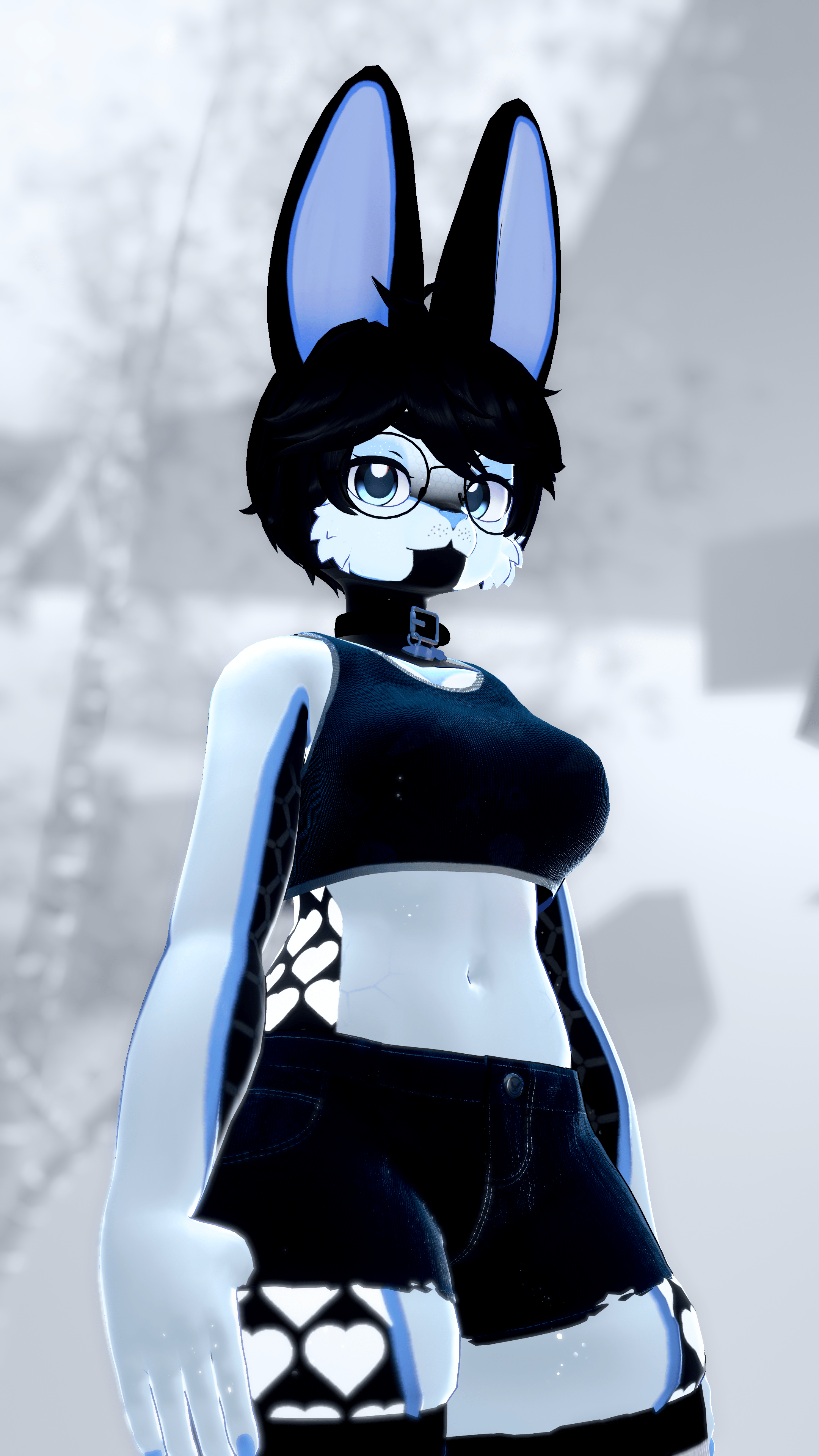 Black and White Bunny! (Biscotti/Biscotti X)