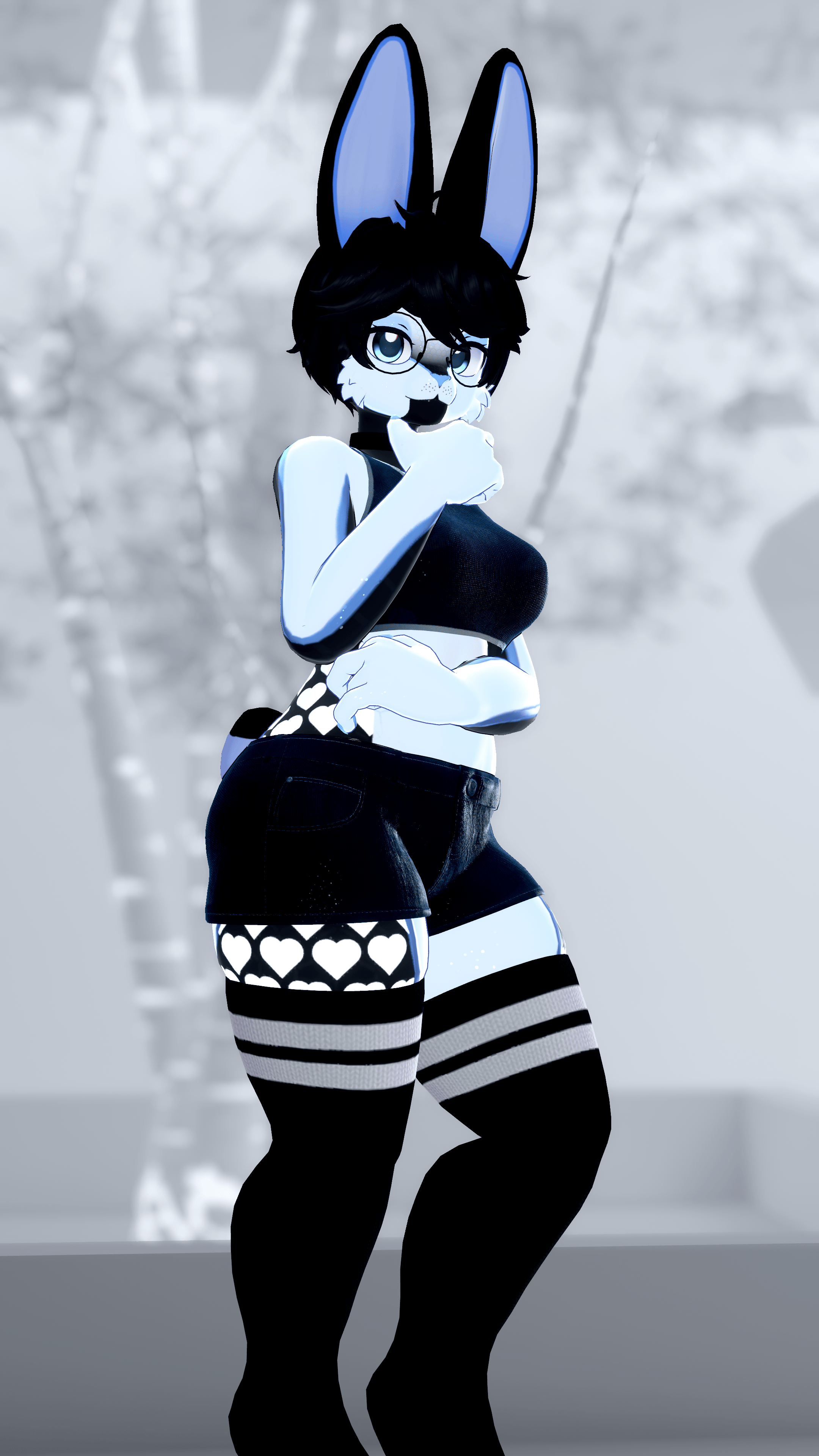 Black and White Bunny! (Biscotti/Biscotti X)