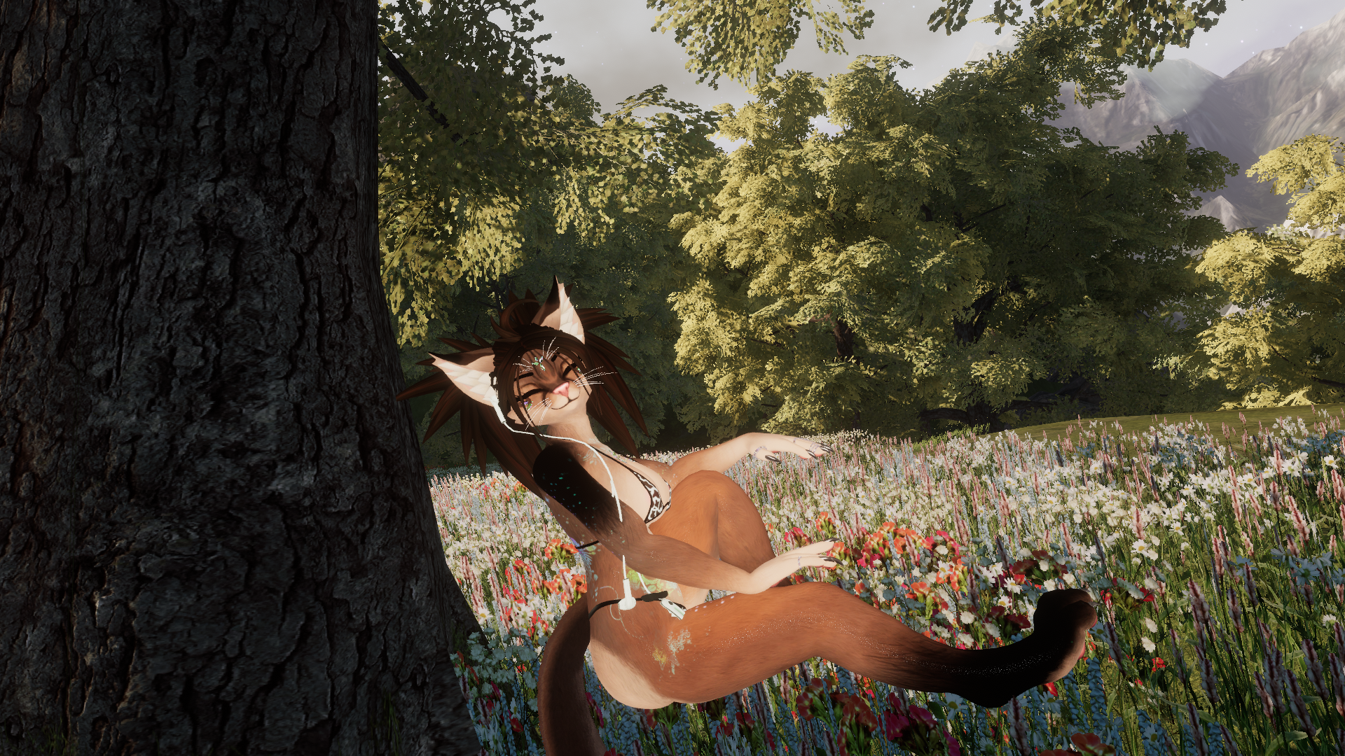 Abyssinian Kiri