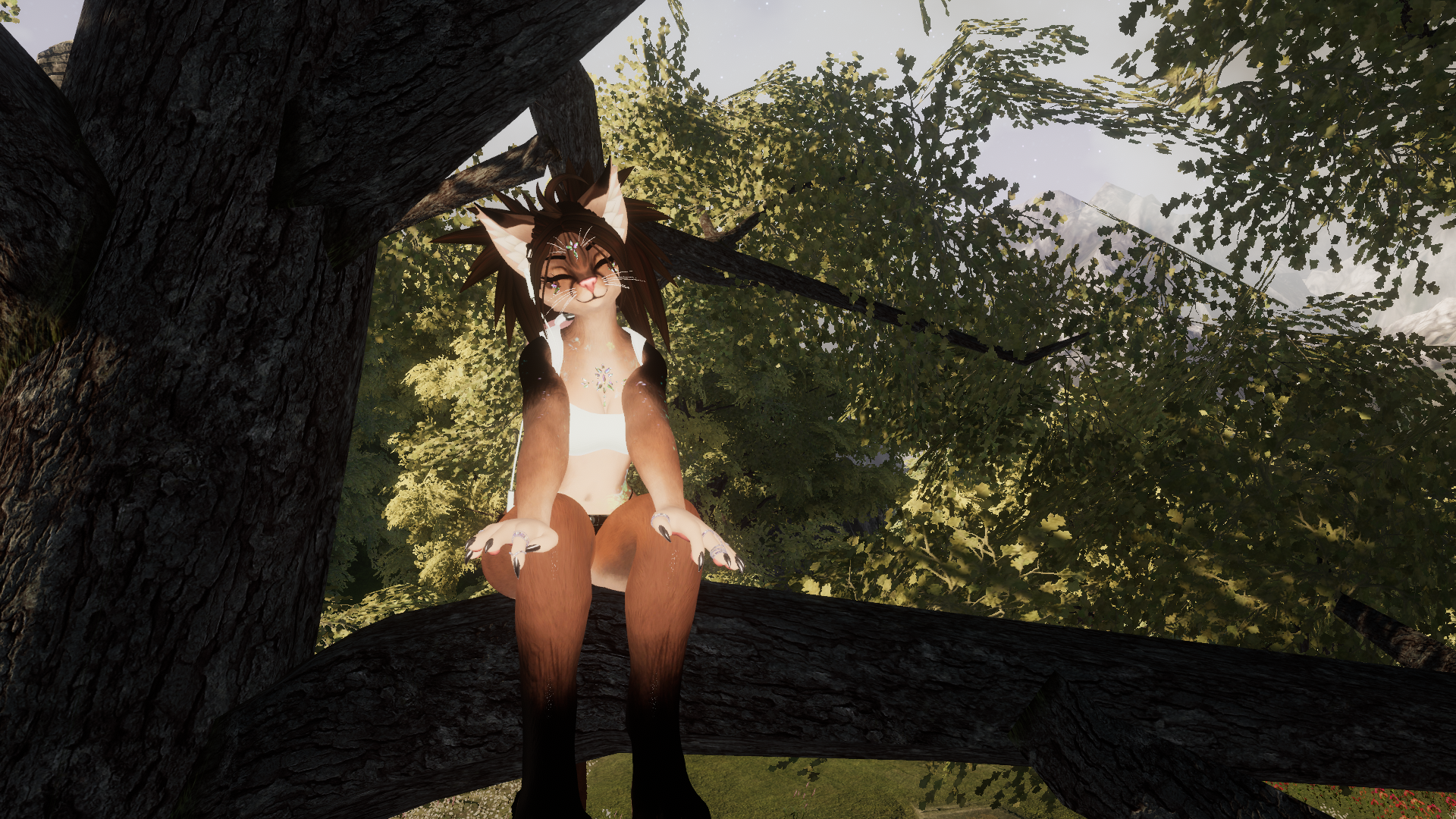 Abyssinian Kiri