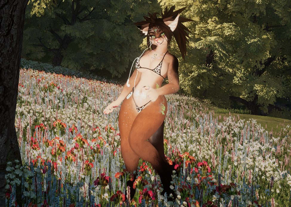 Abyssinian Kiri