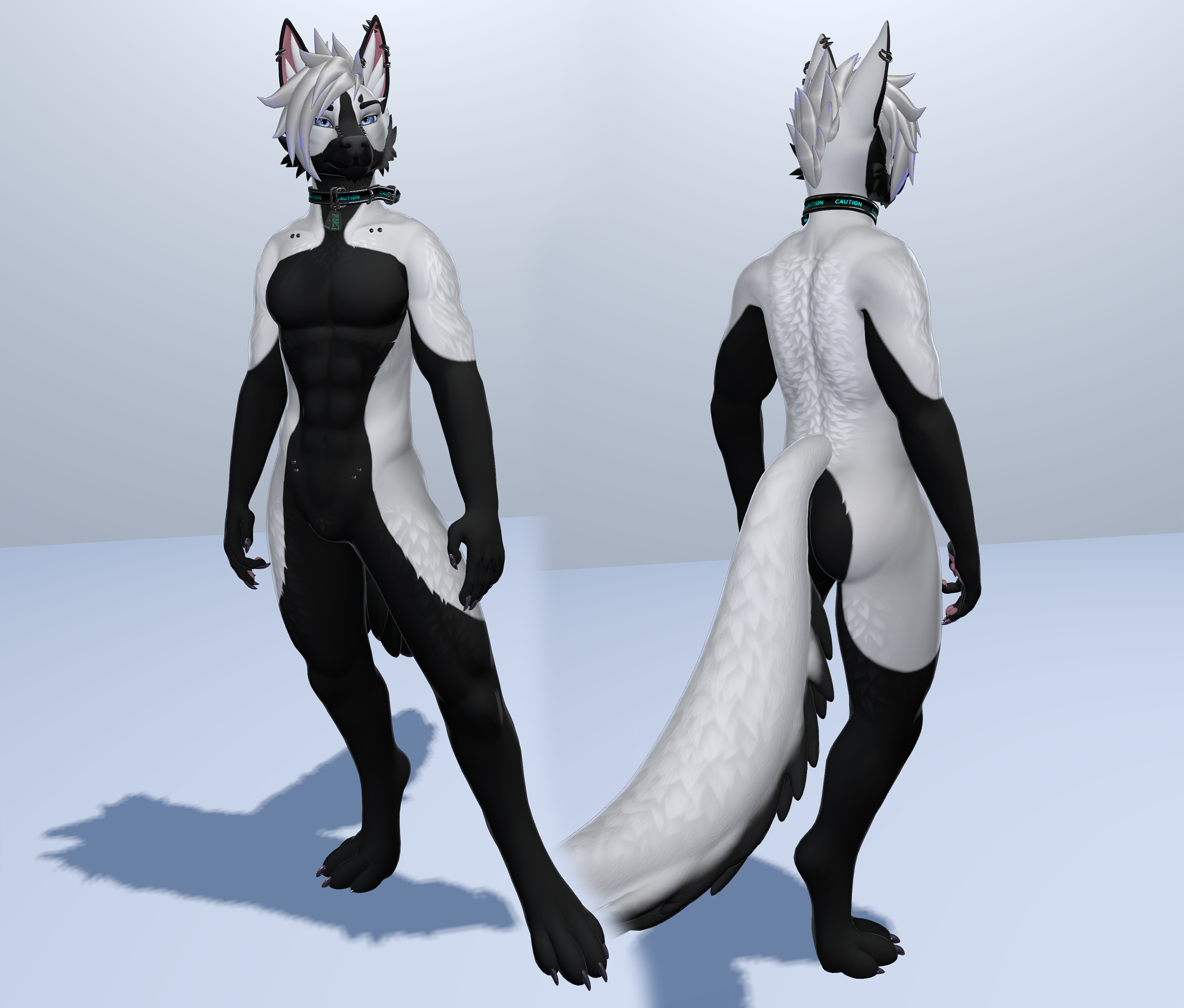 Inverted Husky - Foxipaws Dante