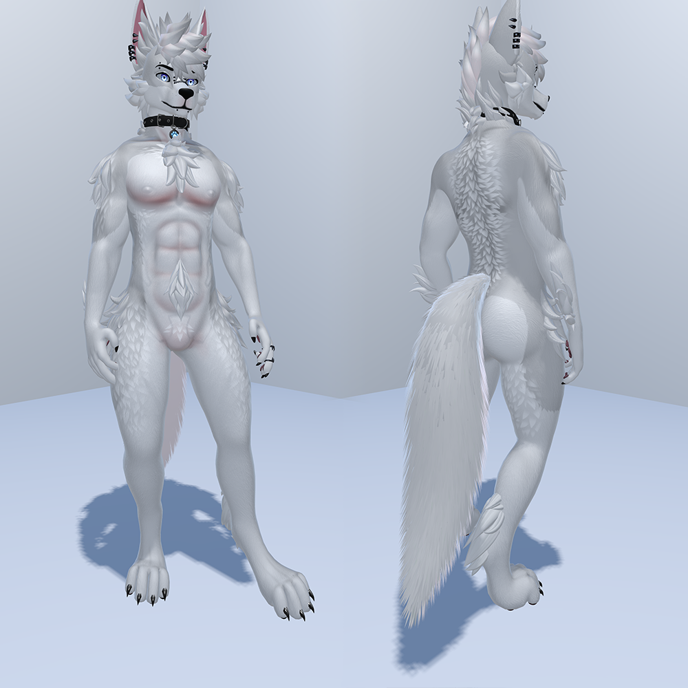 Snow Husky - Foxipaws Archer