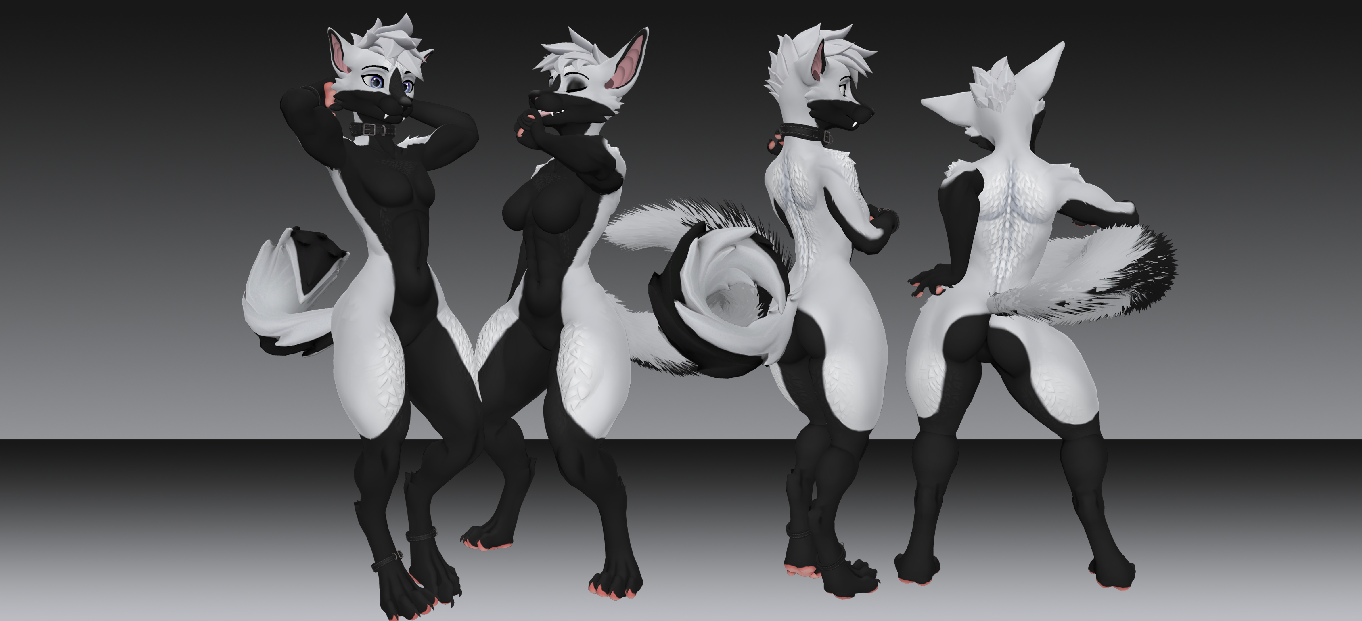 Inverted Husky - Viwi
