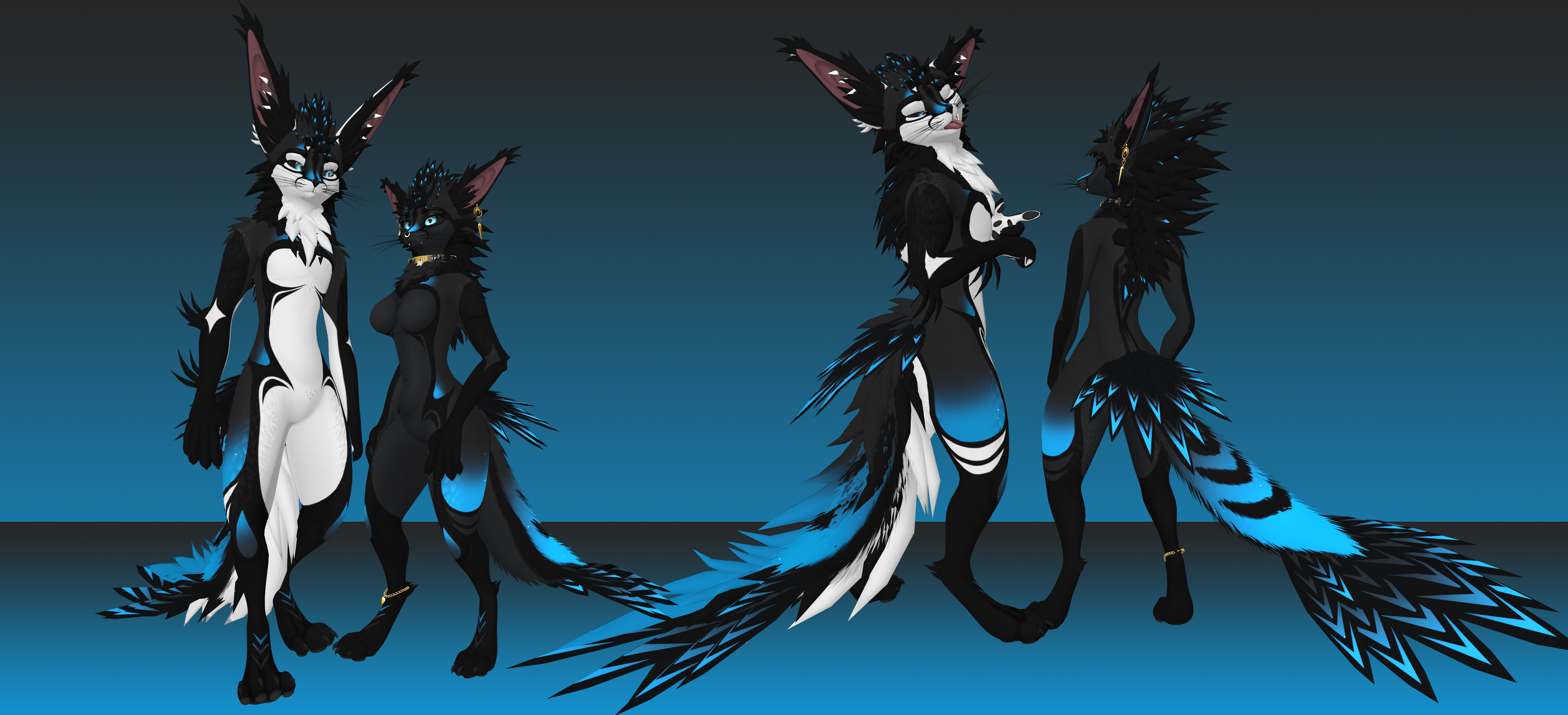 Jex Black Blue - Rexouium/Magpie