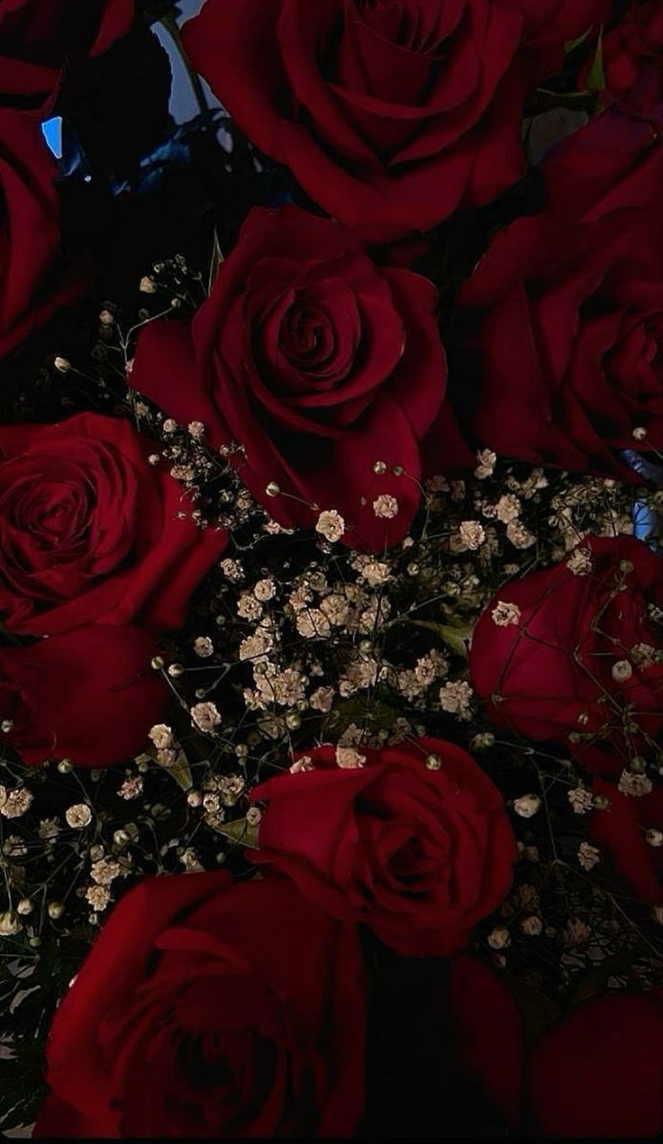 Banner Background
