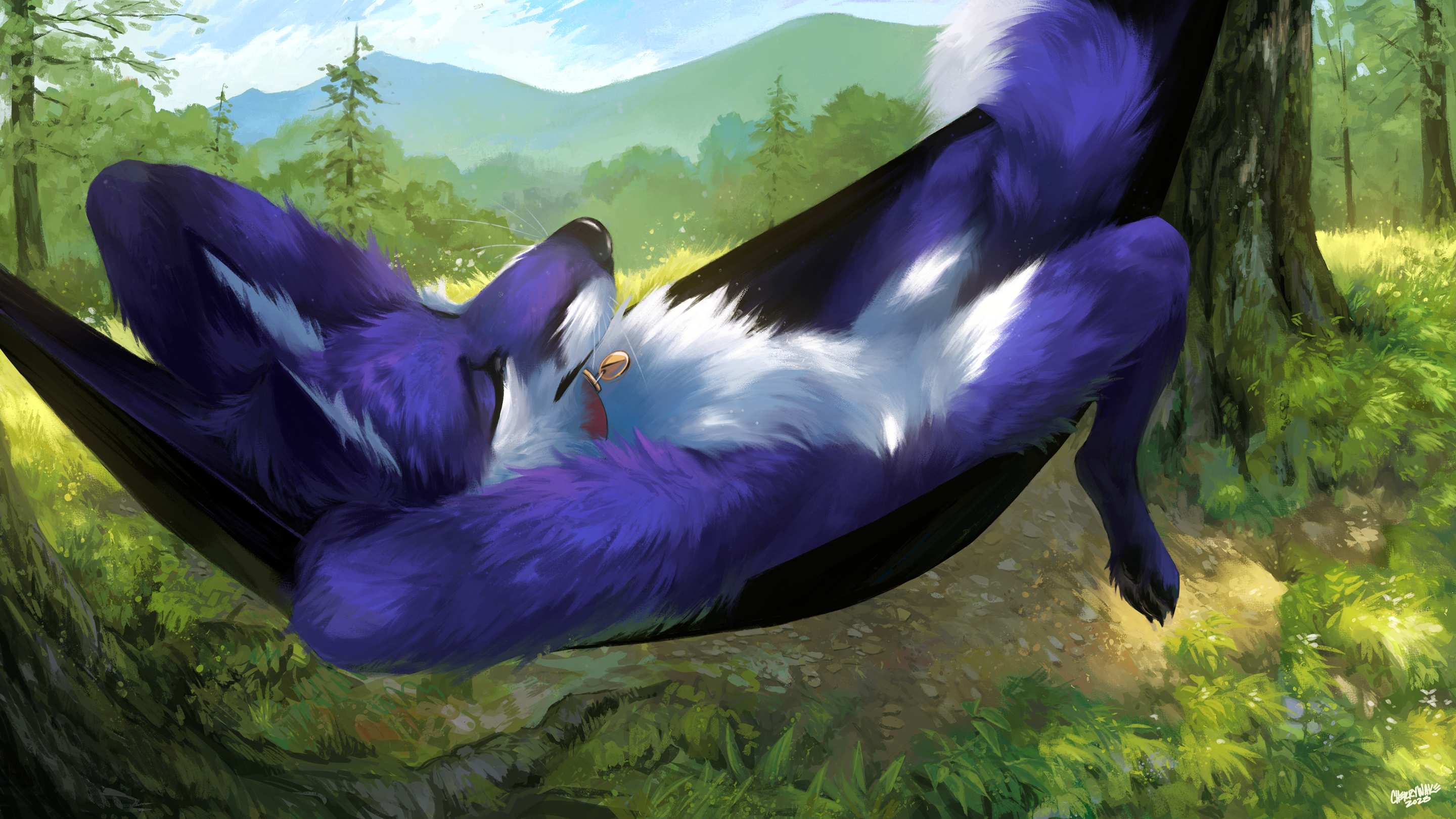 Banner Background