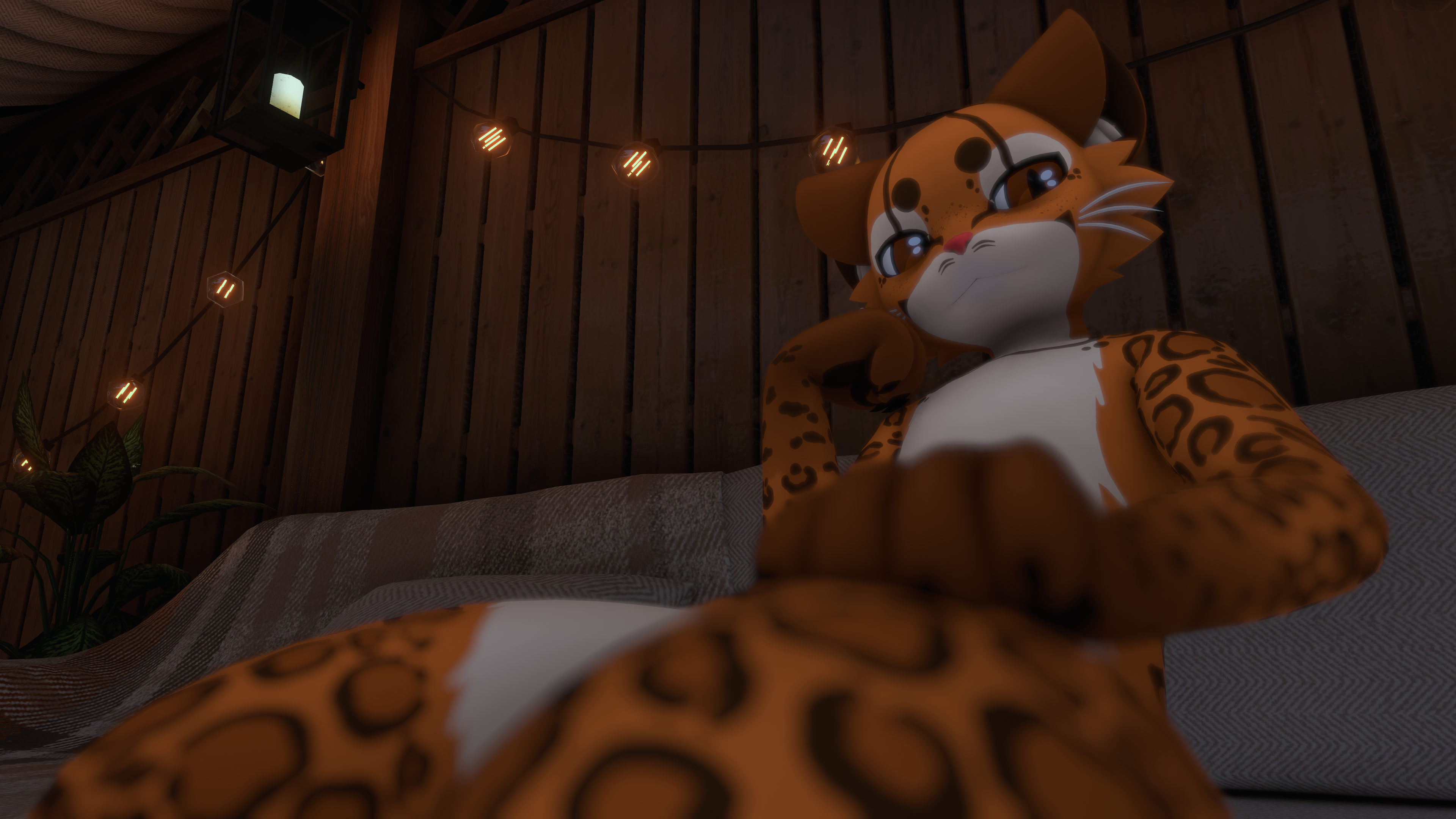 The Tilcayo (Mayu Tora Texture)