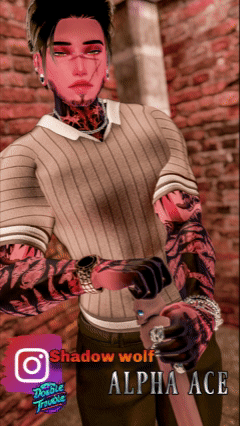 Alpha Ace