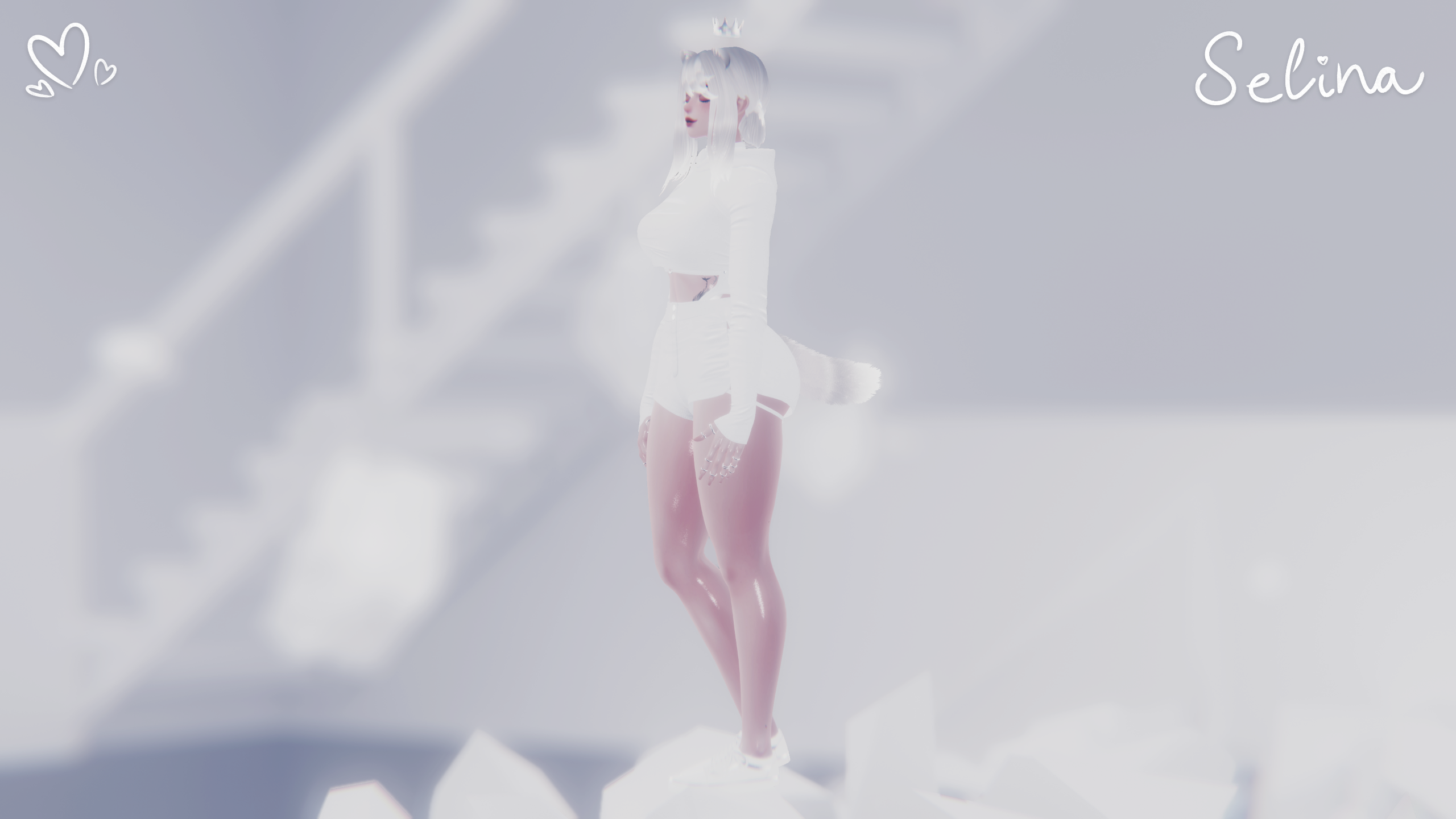 Selina | VRChat | Face Tracking & GoGo Loco & SPS | Optimized FBT Raccoon Avatar