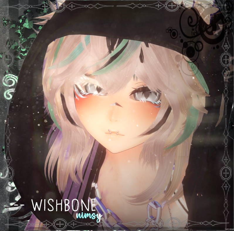 wishbone ;; pc + q + ft