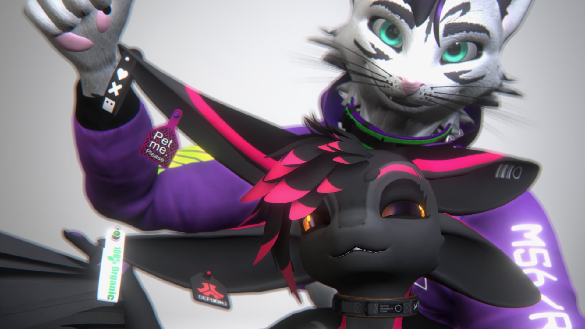 Ear and Collar Tag Bundle