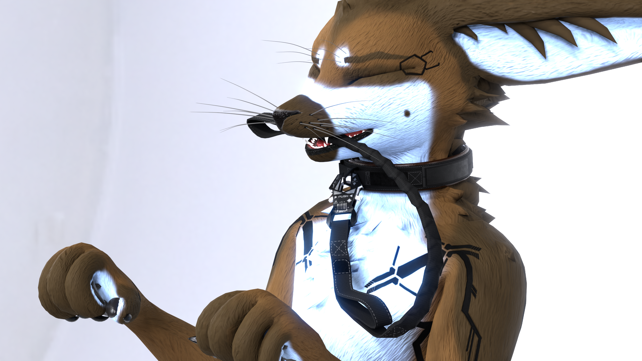 Special Operations Leash