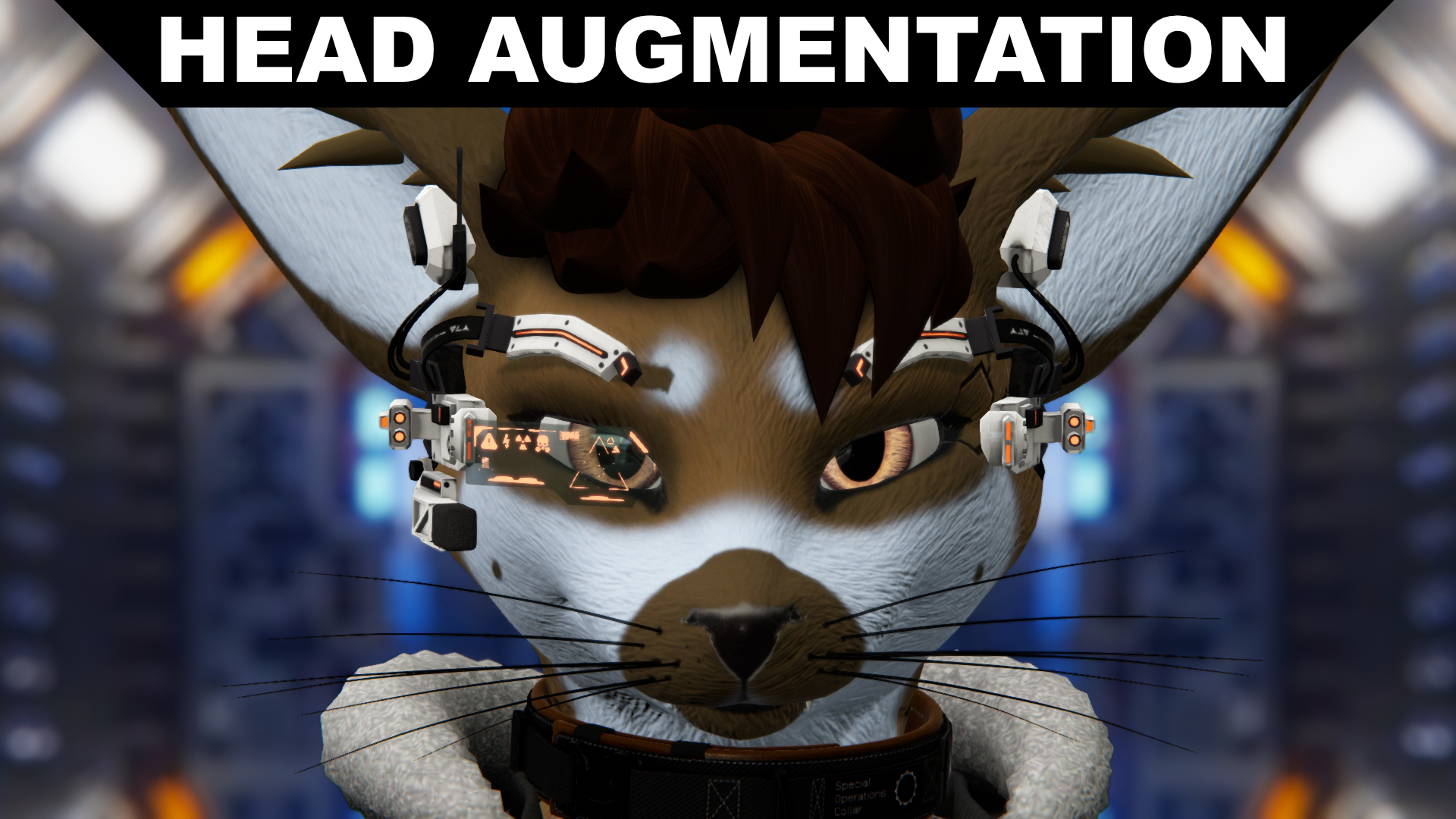 Head Augmentation