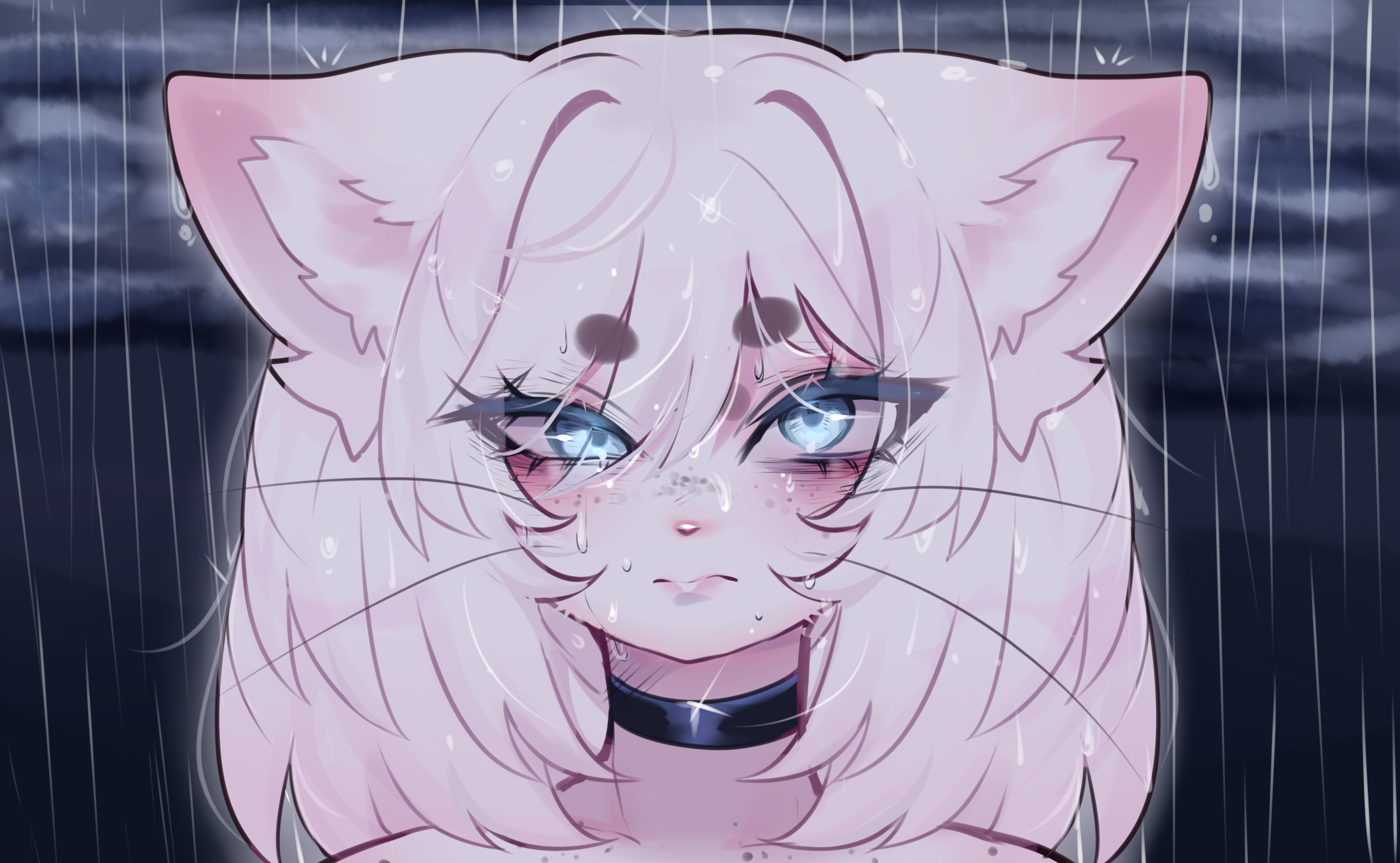Banner Background