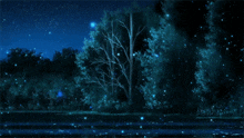 Banner Background