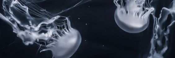 Banner Background