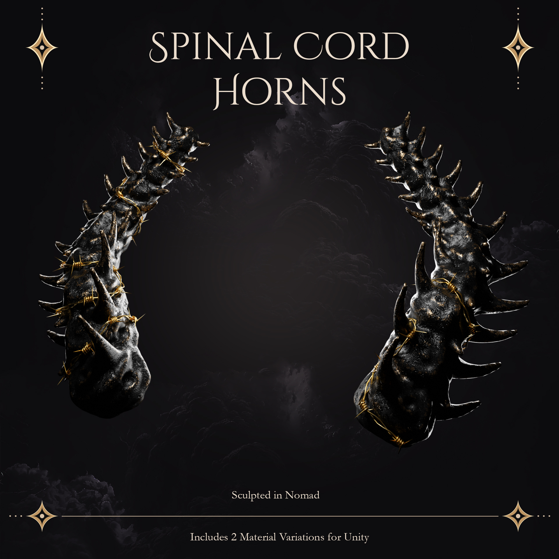 Spinal Cord Horns