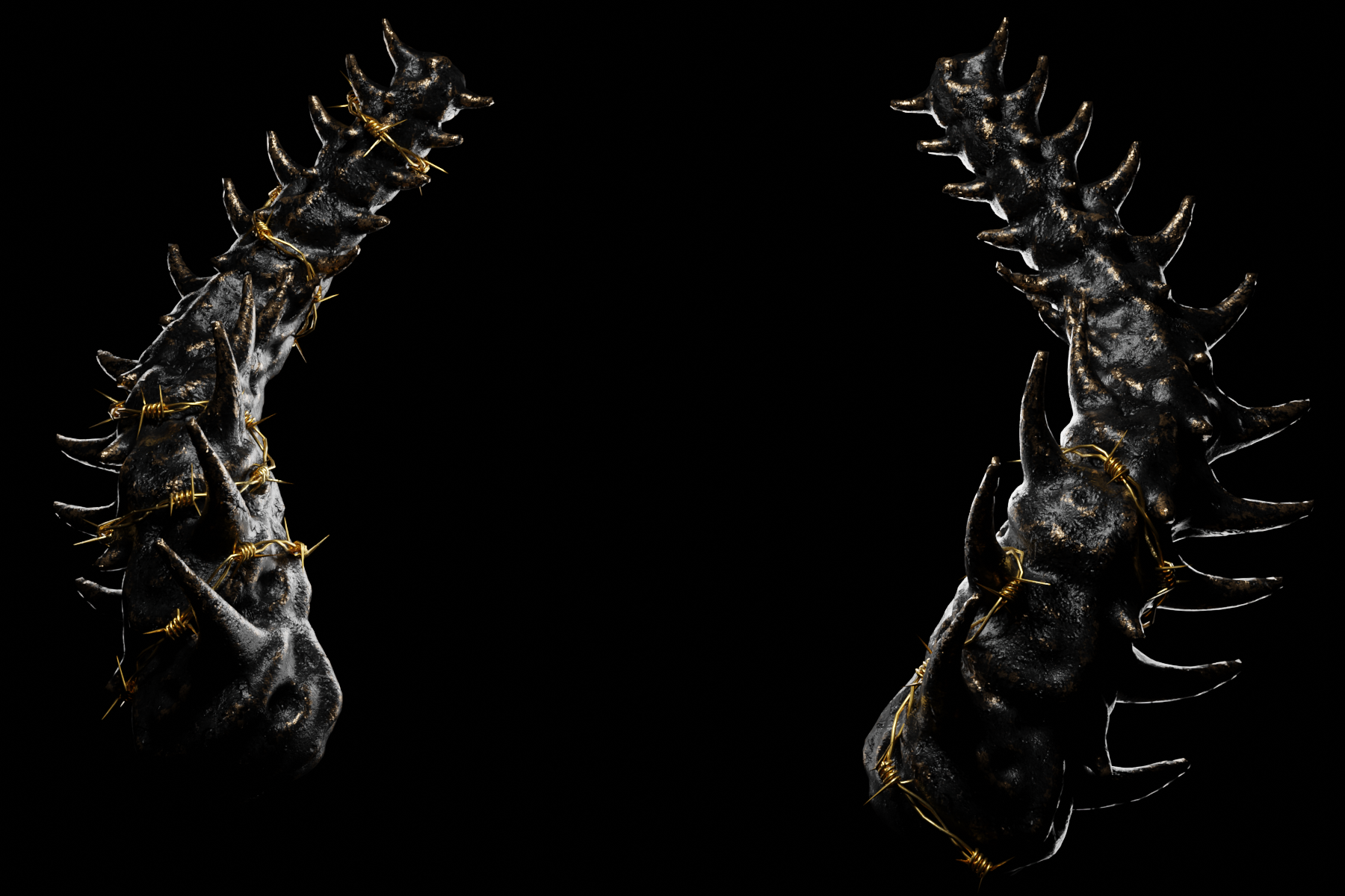 Spinal Cord Horns