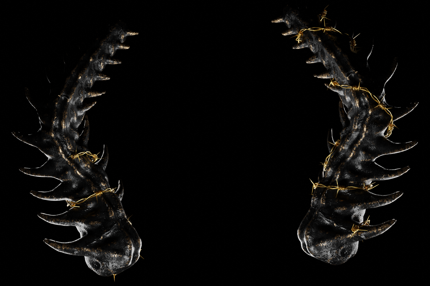 Spinal Cord Horns