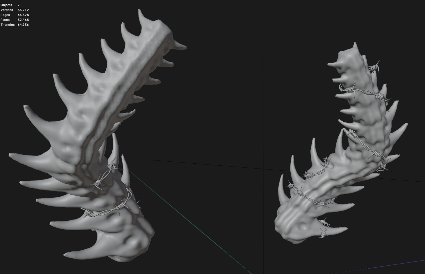 Spinal Cord Horns