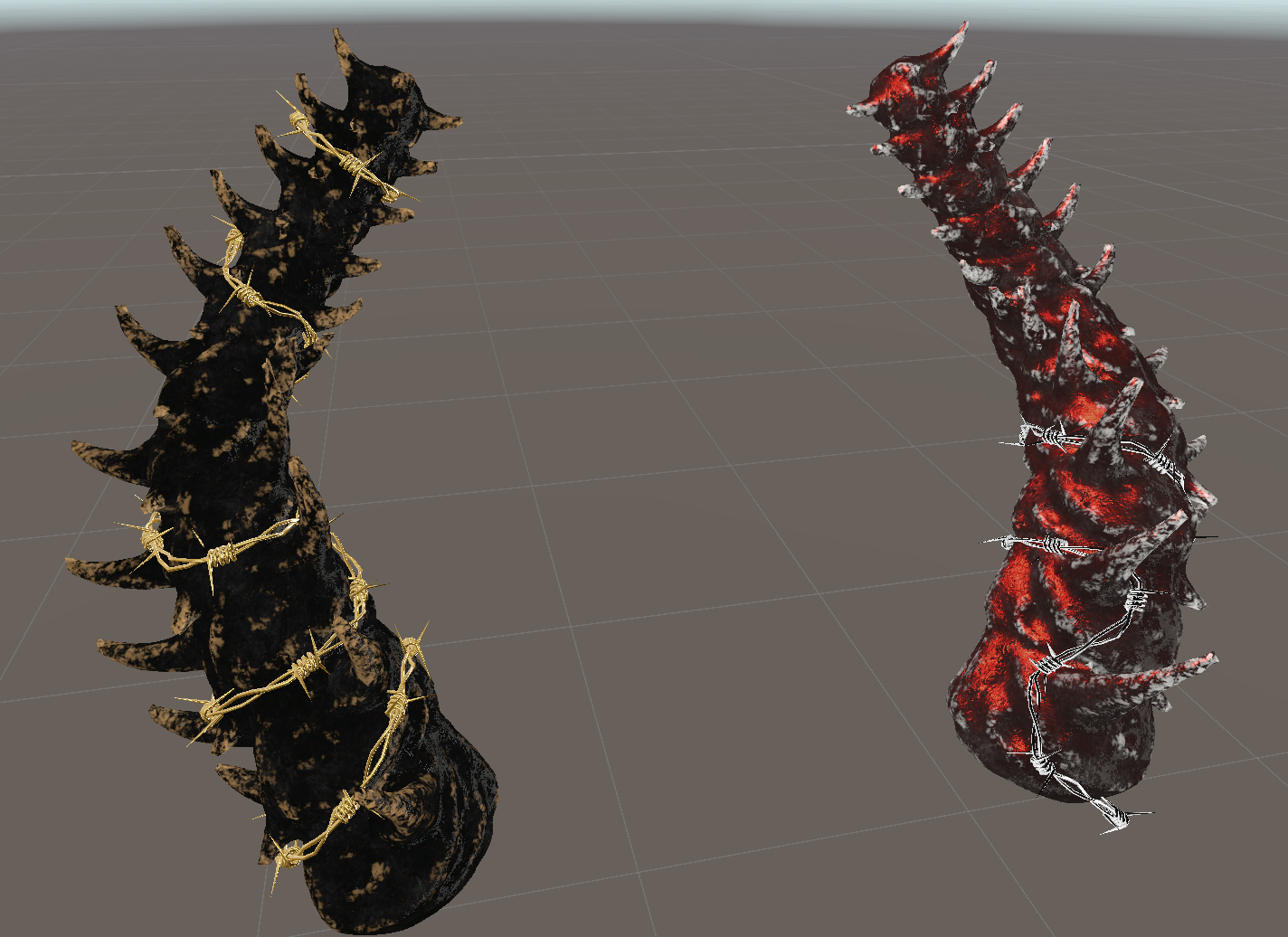 Spinal Cord Horns
