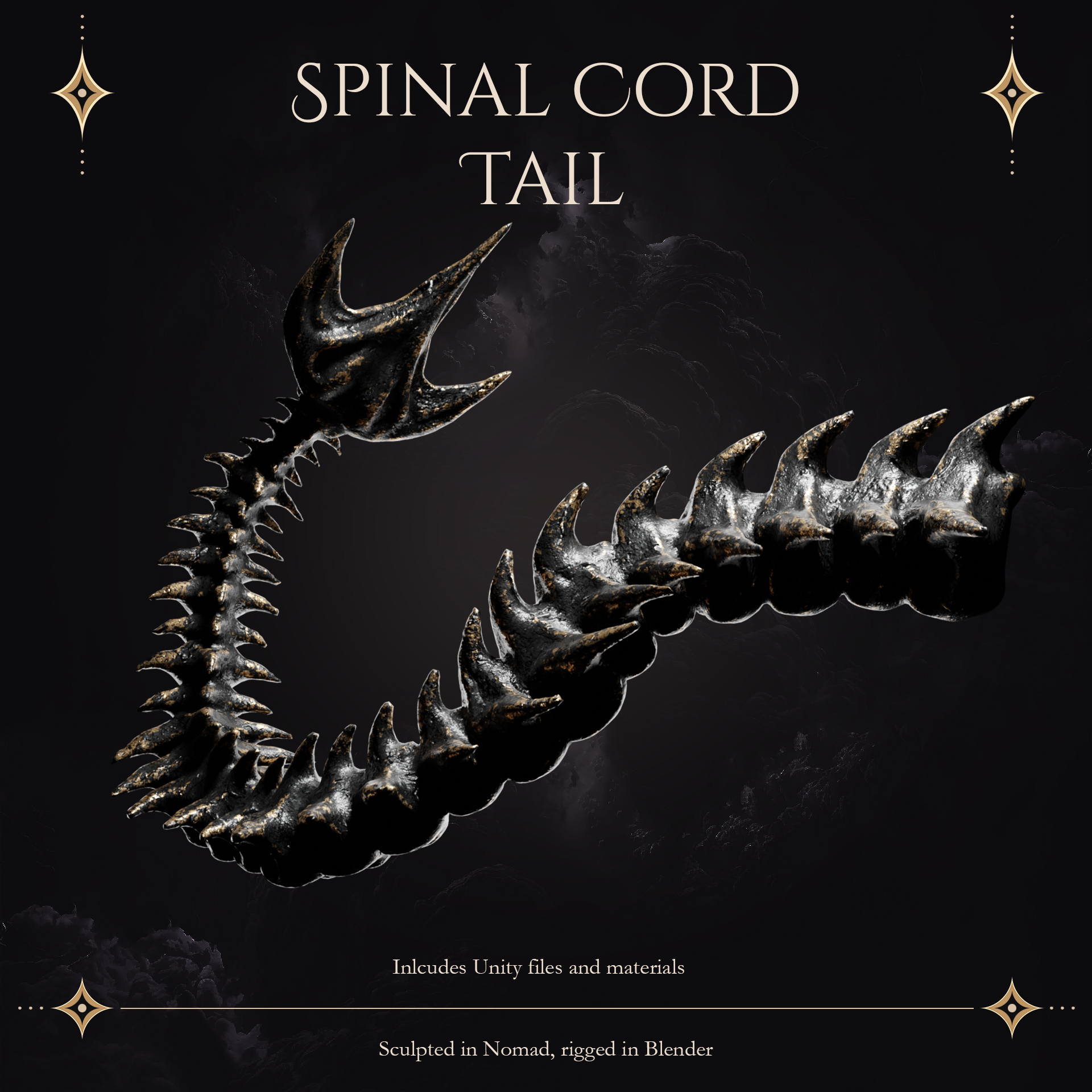Spinal Cord Tail