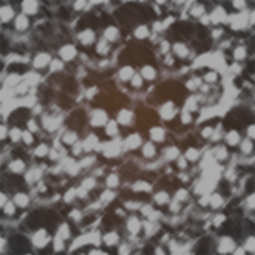 Fondo del banner