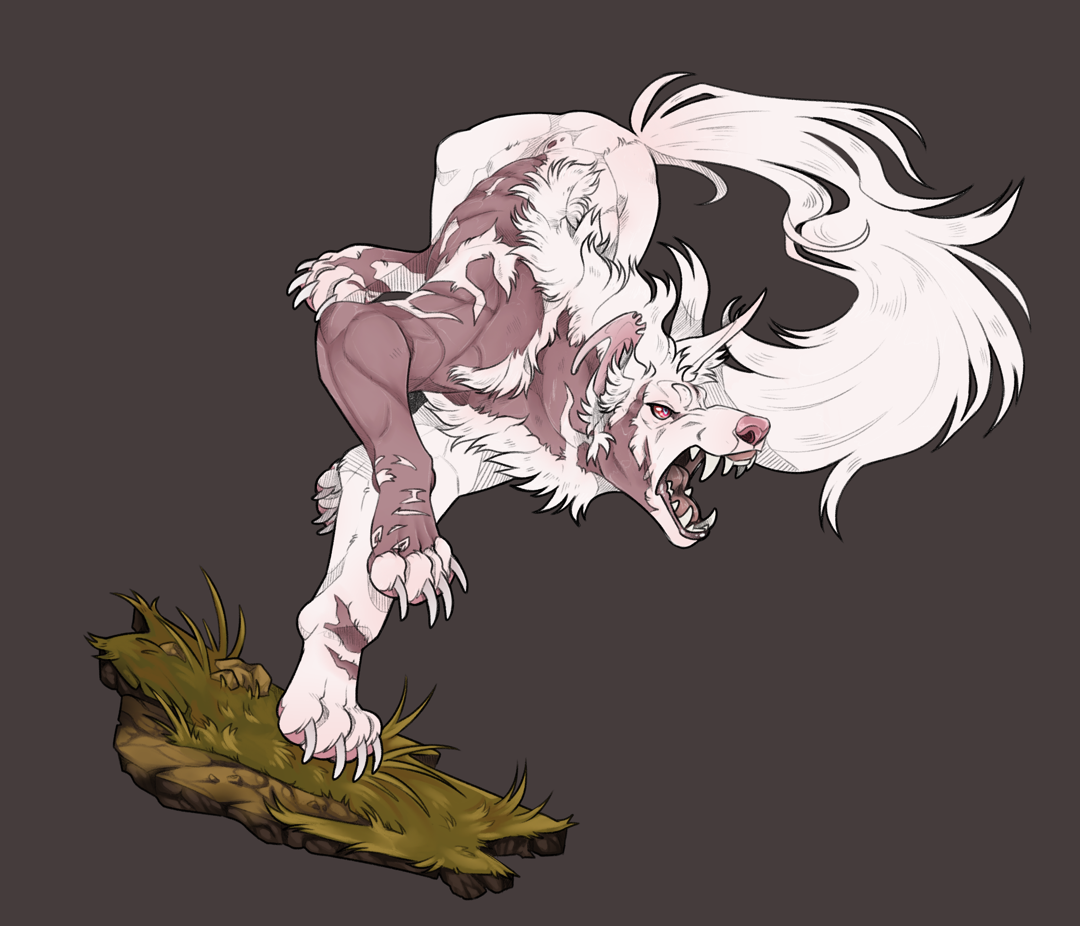 Banner Background